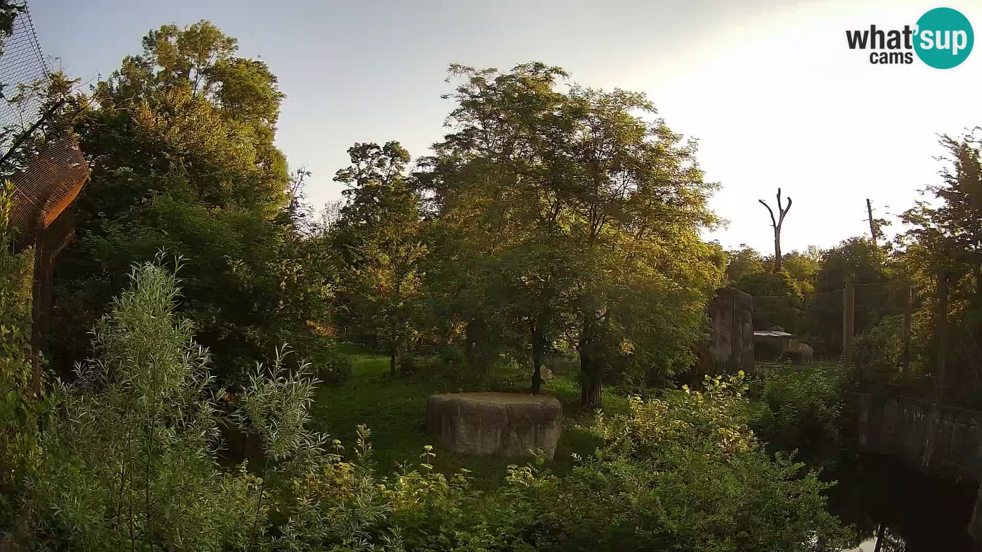 Zoo Zagreb – Lavovi