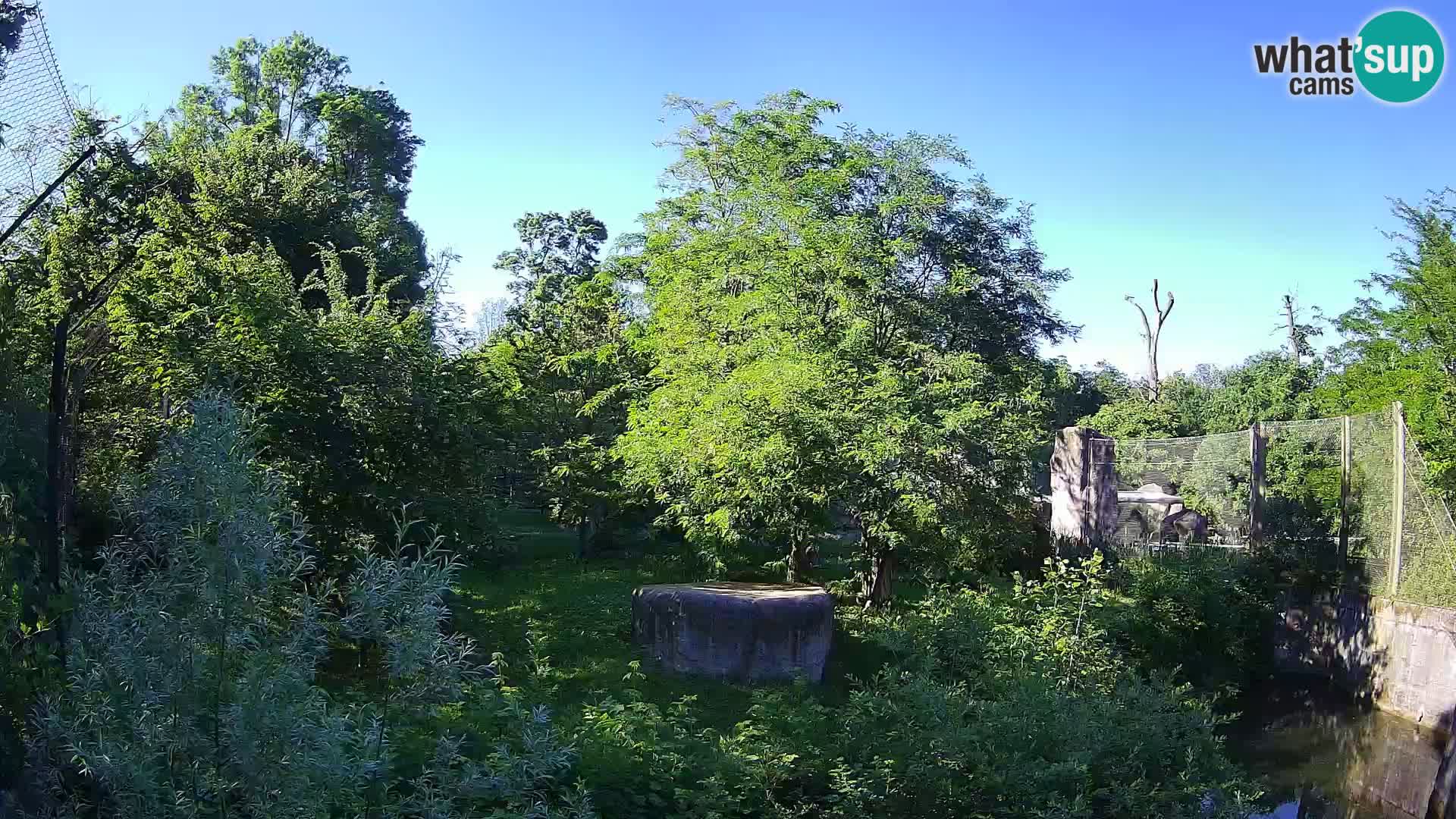 Zoo Zagreb – Leoni