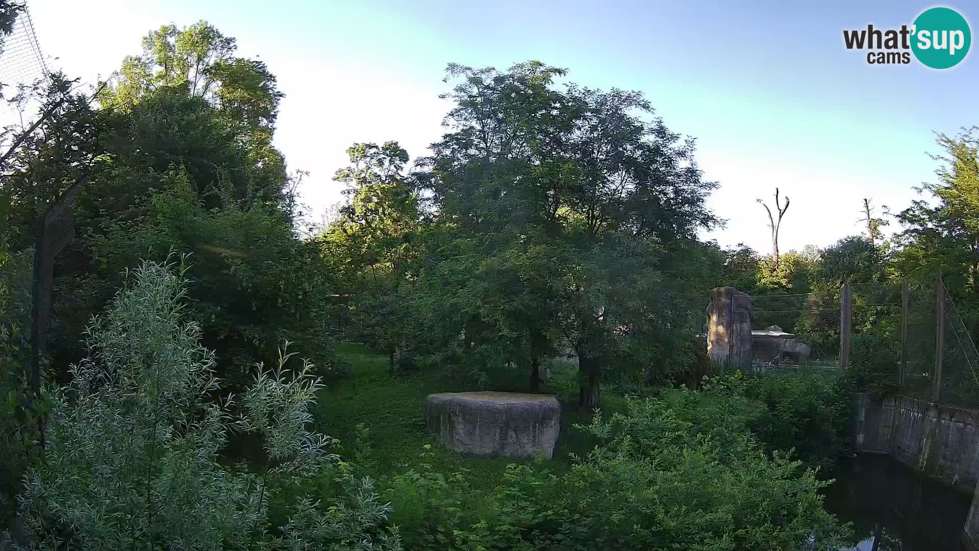 Zoo Zagreb – Leoni
