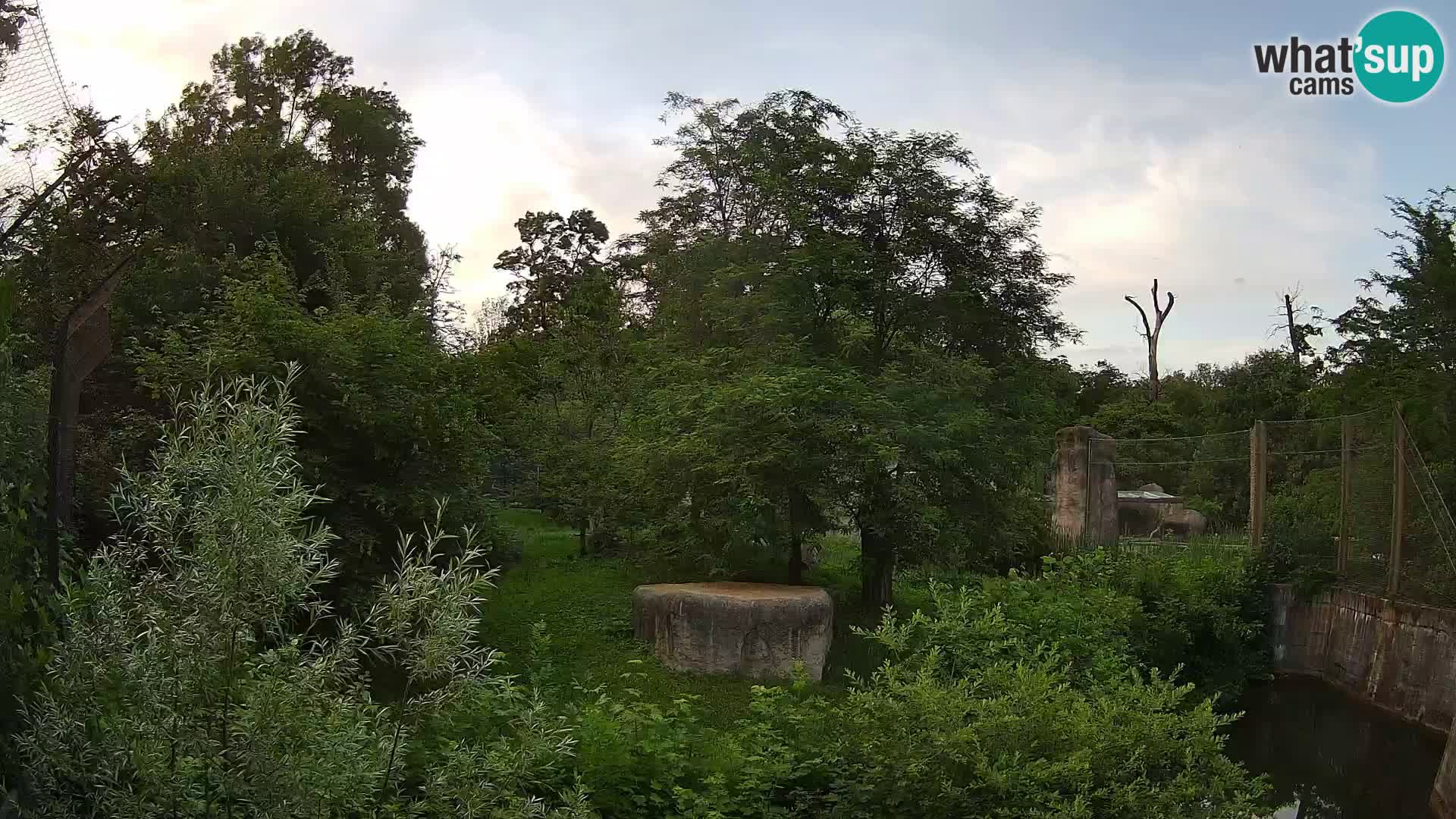 Zoo Zagreb – Löwen