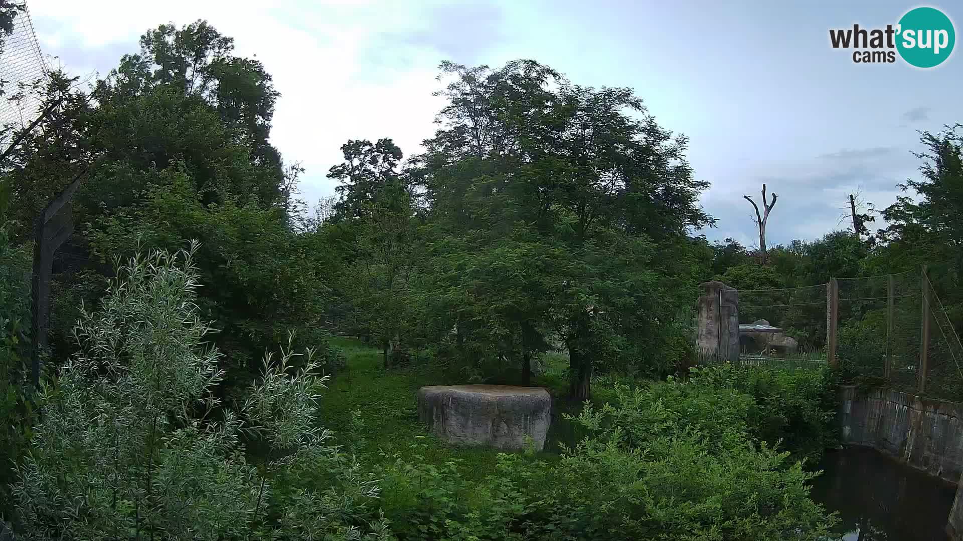 Zoo Zagreb – Löwen