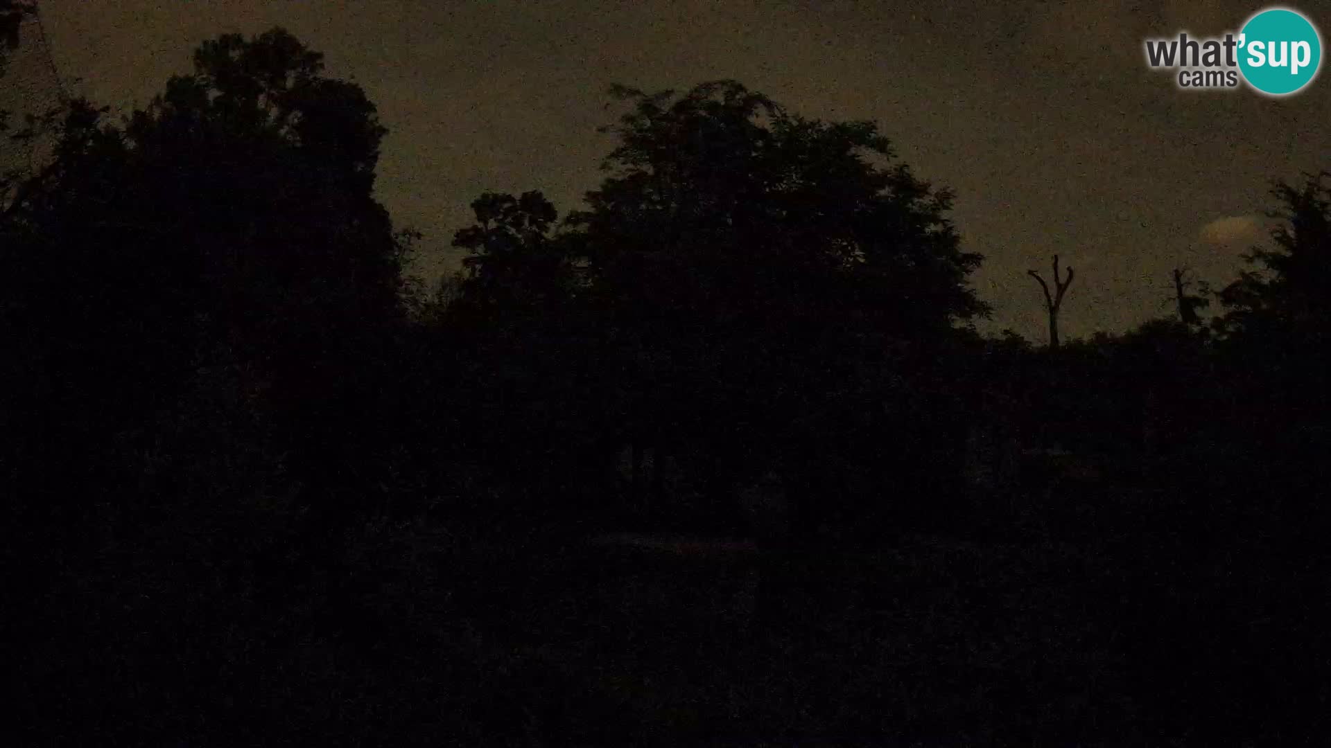 Zoo Zagreb – Leones