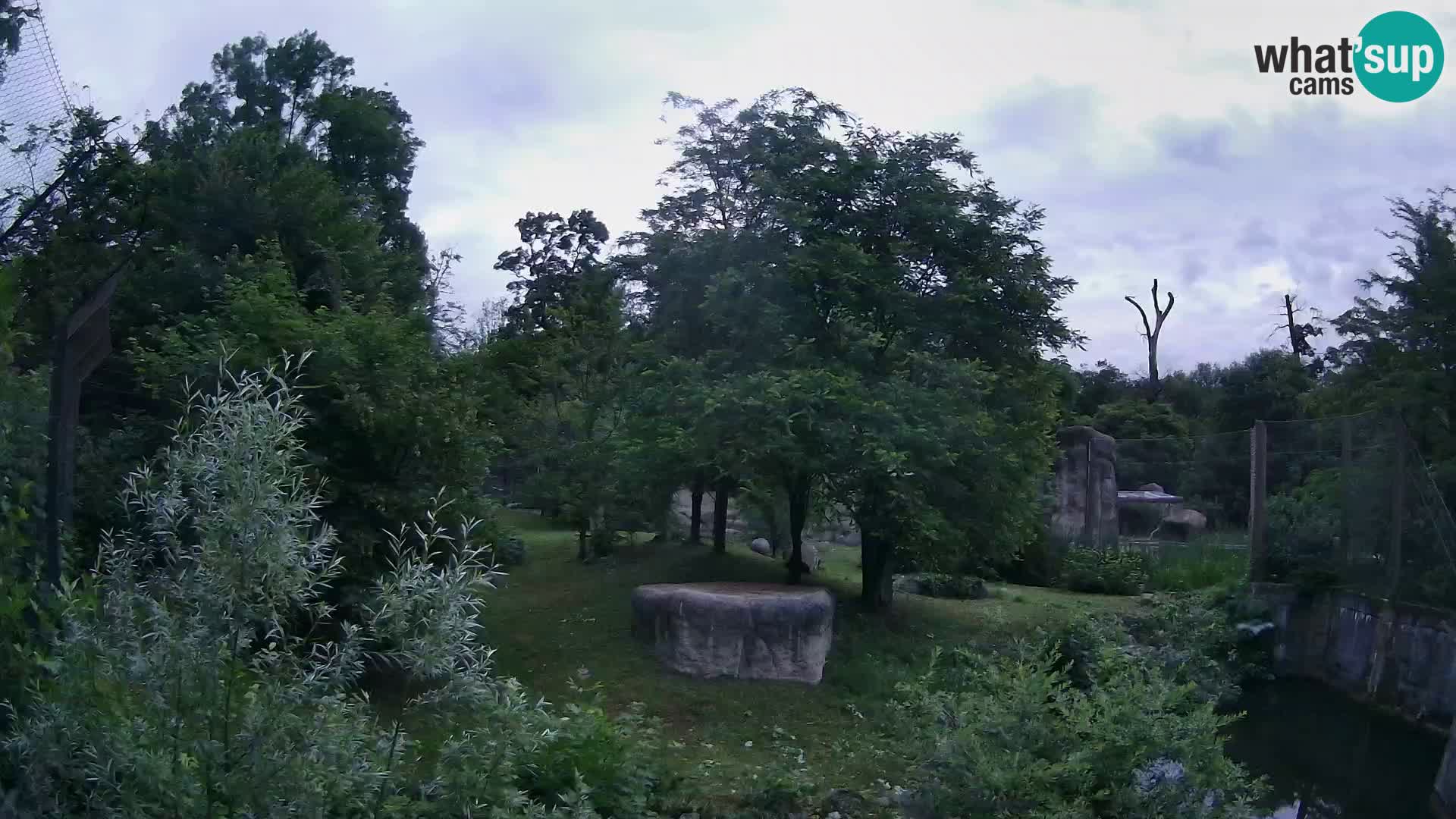 Zoo Zagreb – Lavovi
