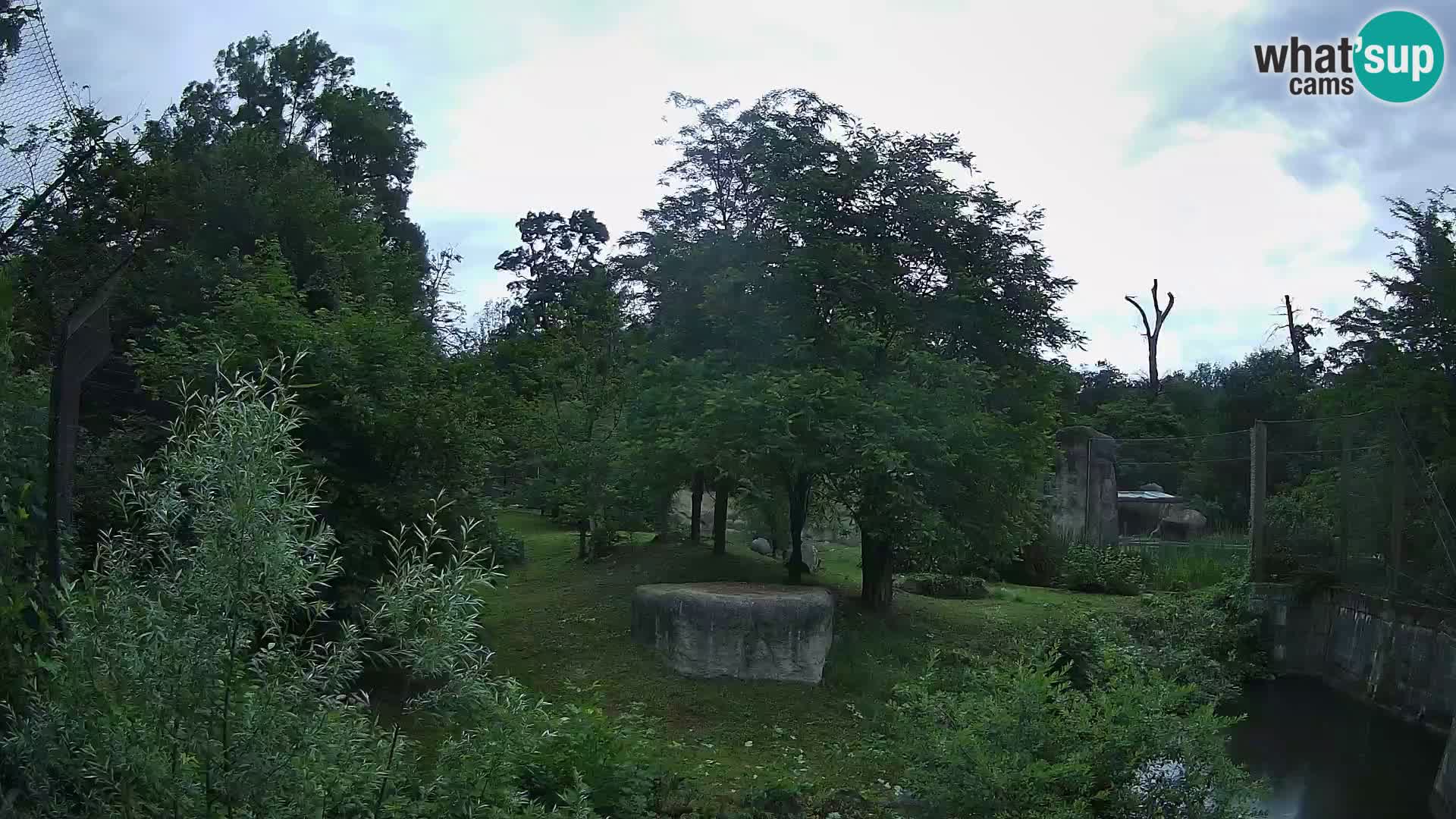 Zoo Zagreb – Leones