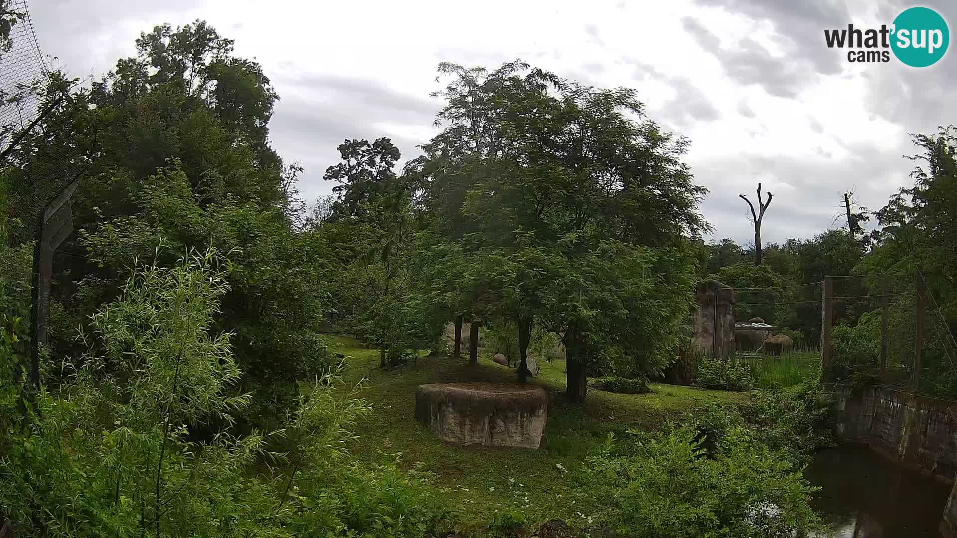 Spletna kamera Zoo Zagreb – Levi