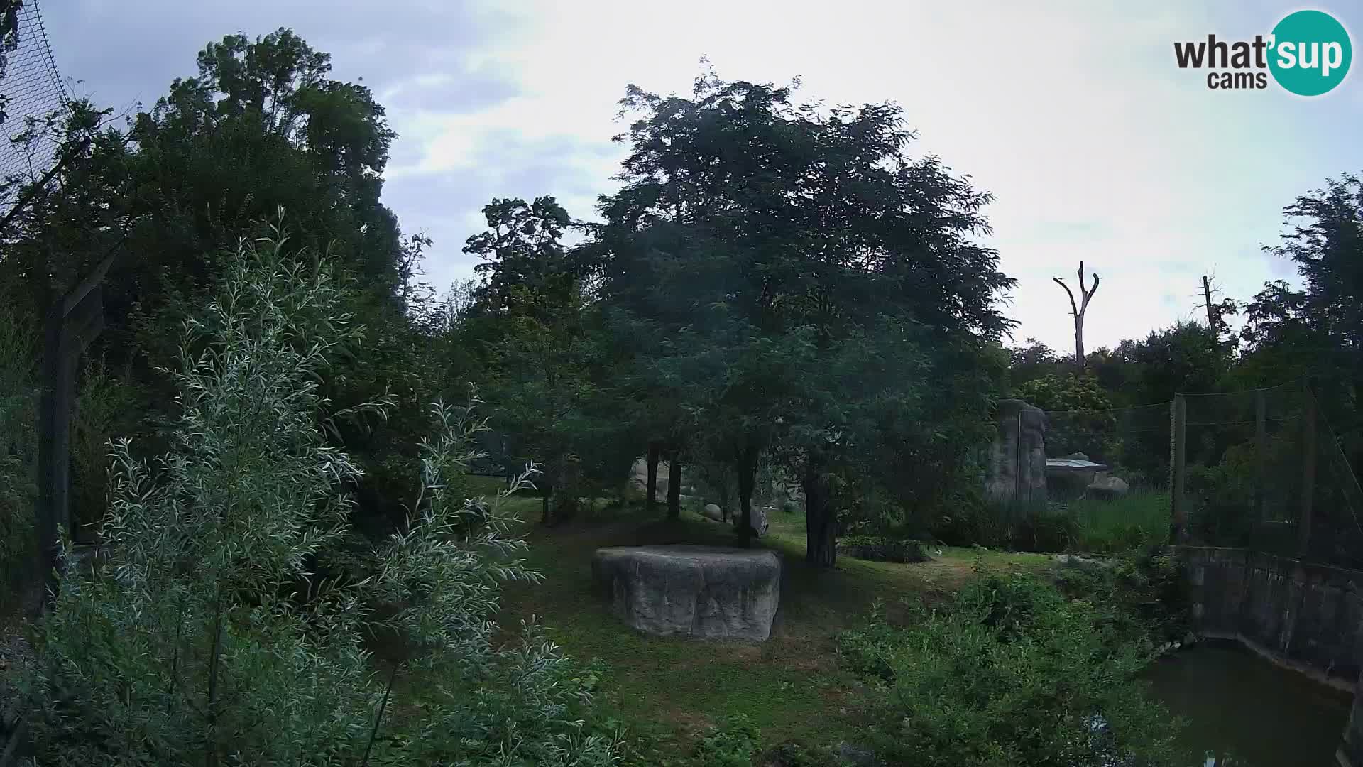Zoo Zagreb – Löwen