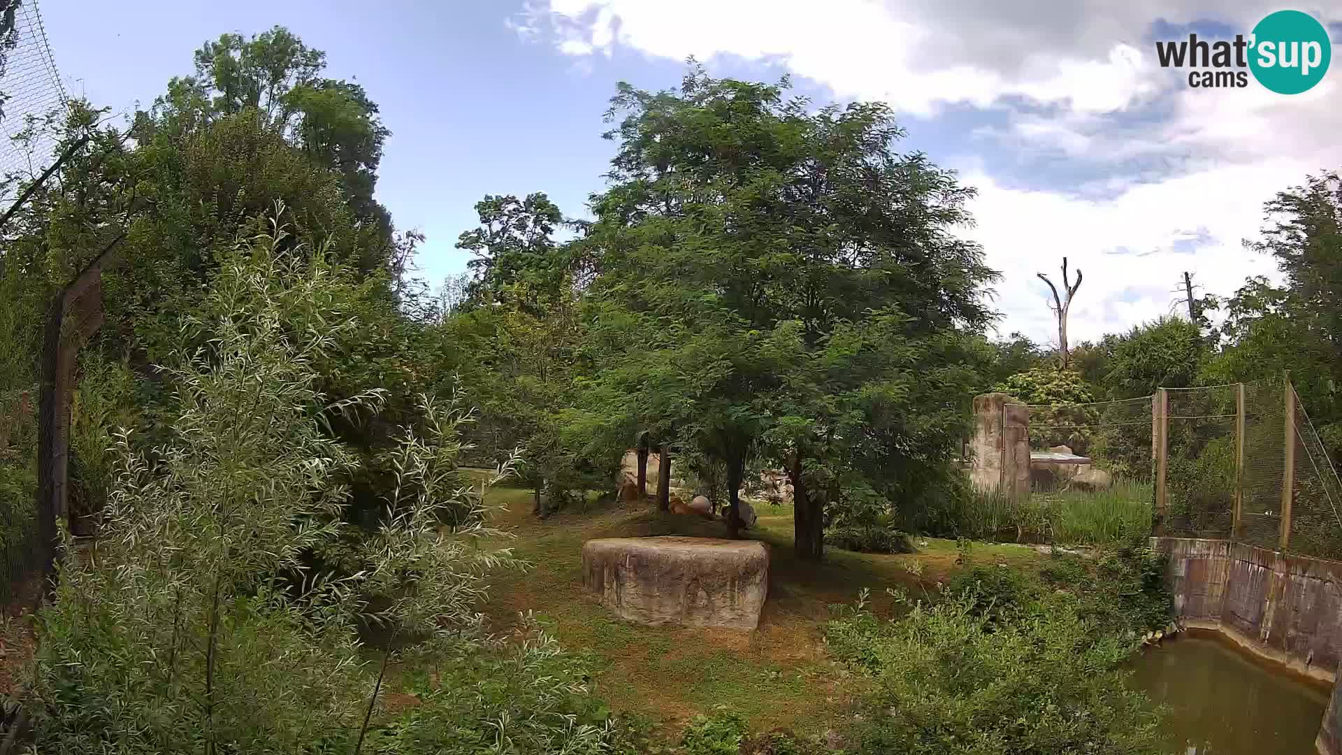 Zoo Zagreb – Leoni