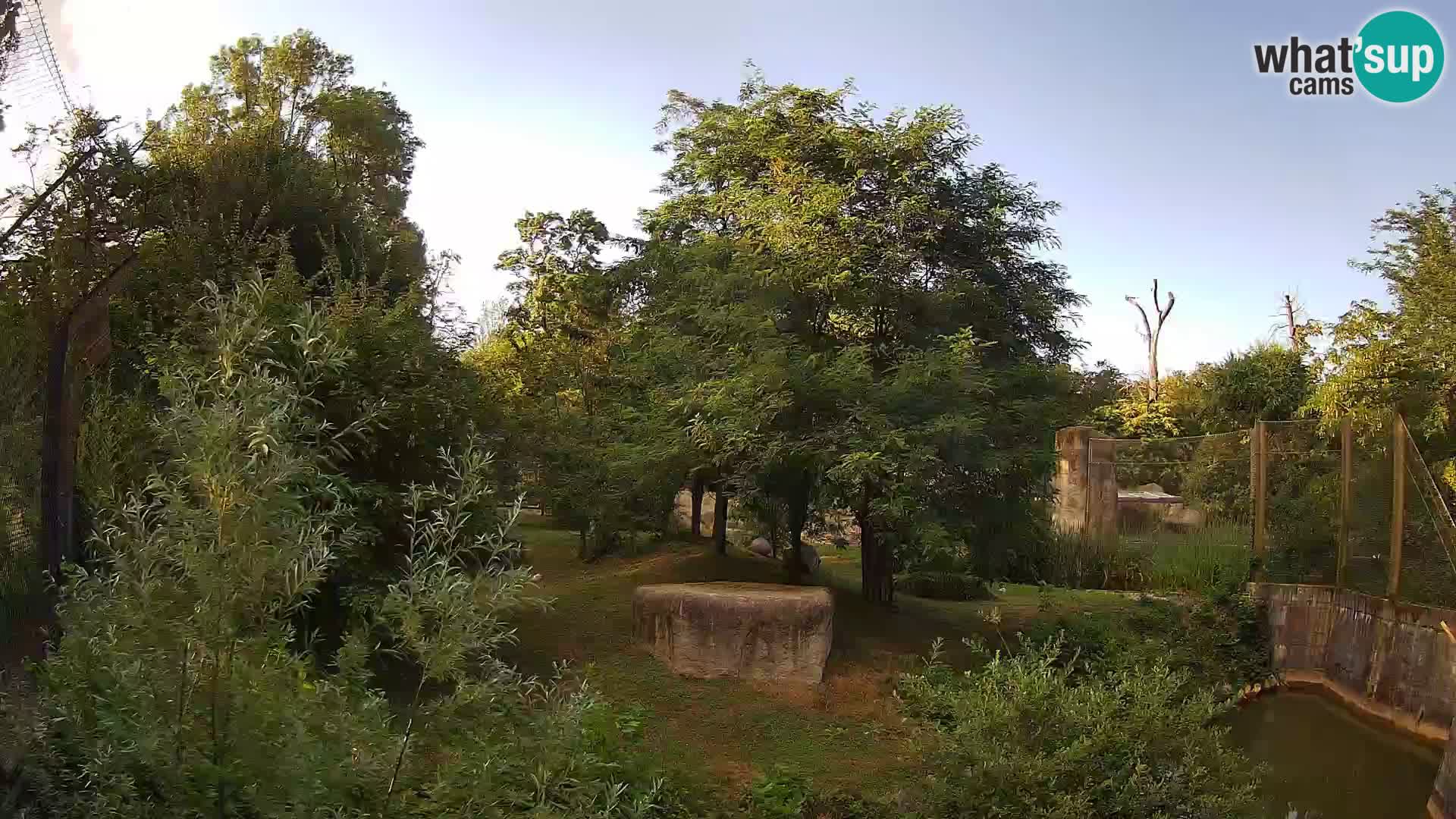 Zoo Zagreb – Leones