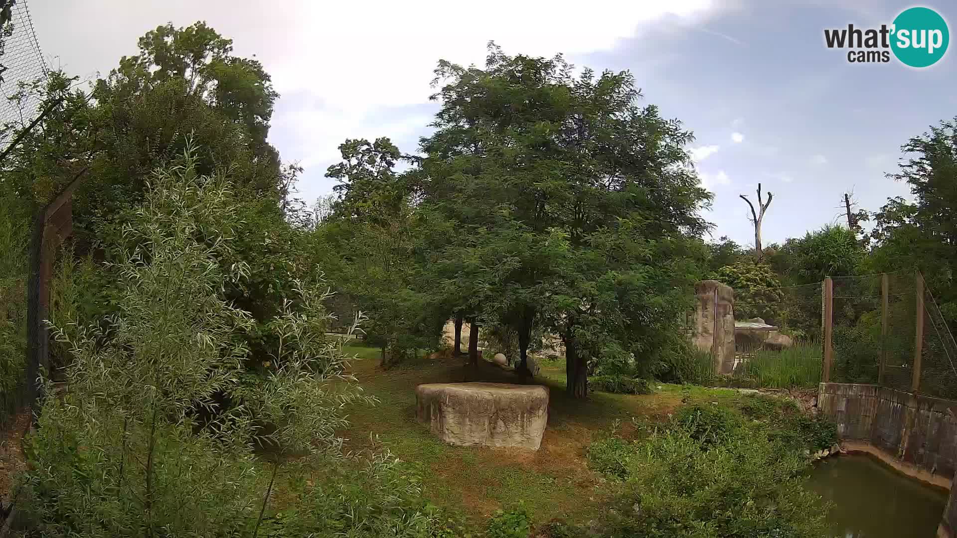 Zoo Zagreb – Lavovi