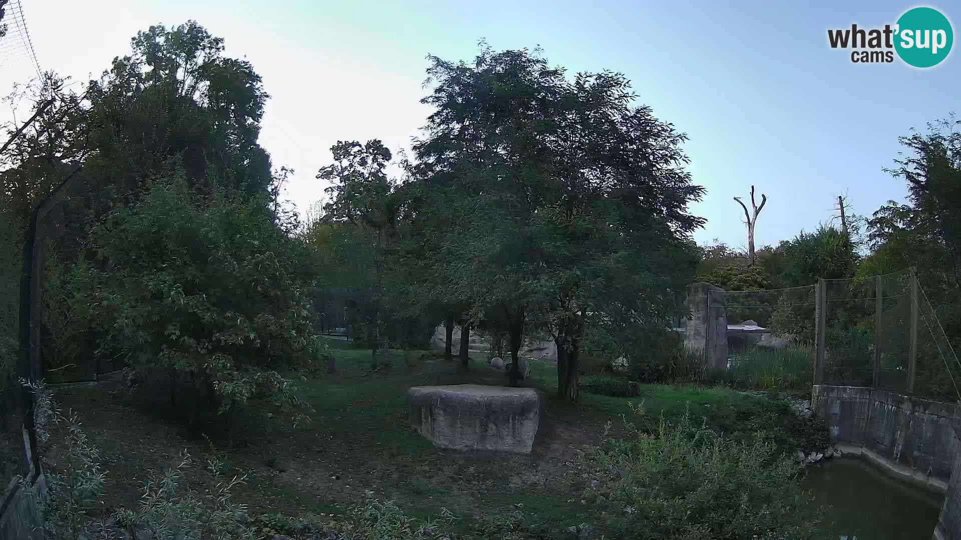 Zoo Zagreb – Leoni