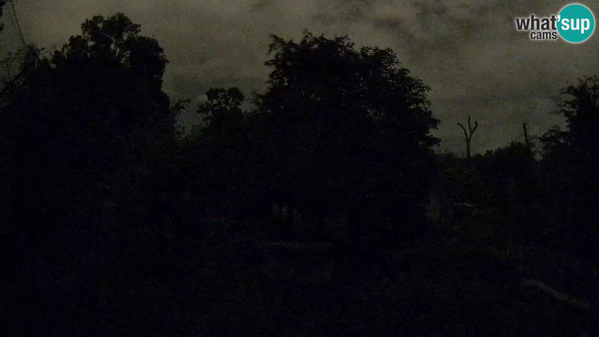 Zoo Zagreb – Lion