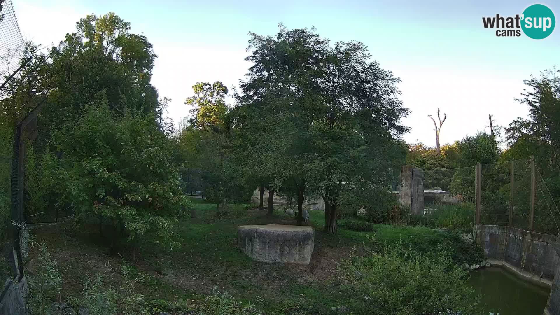 Spletna kamera Zoo Zagreb – Levi