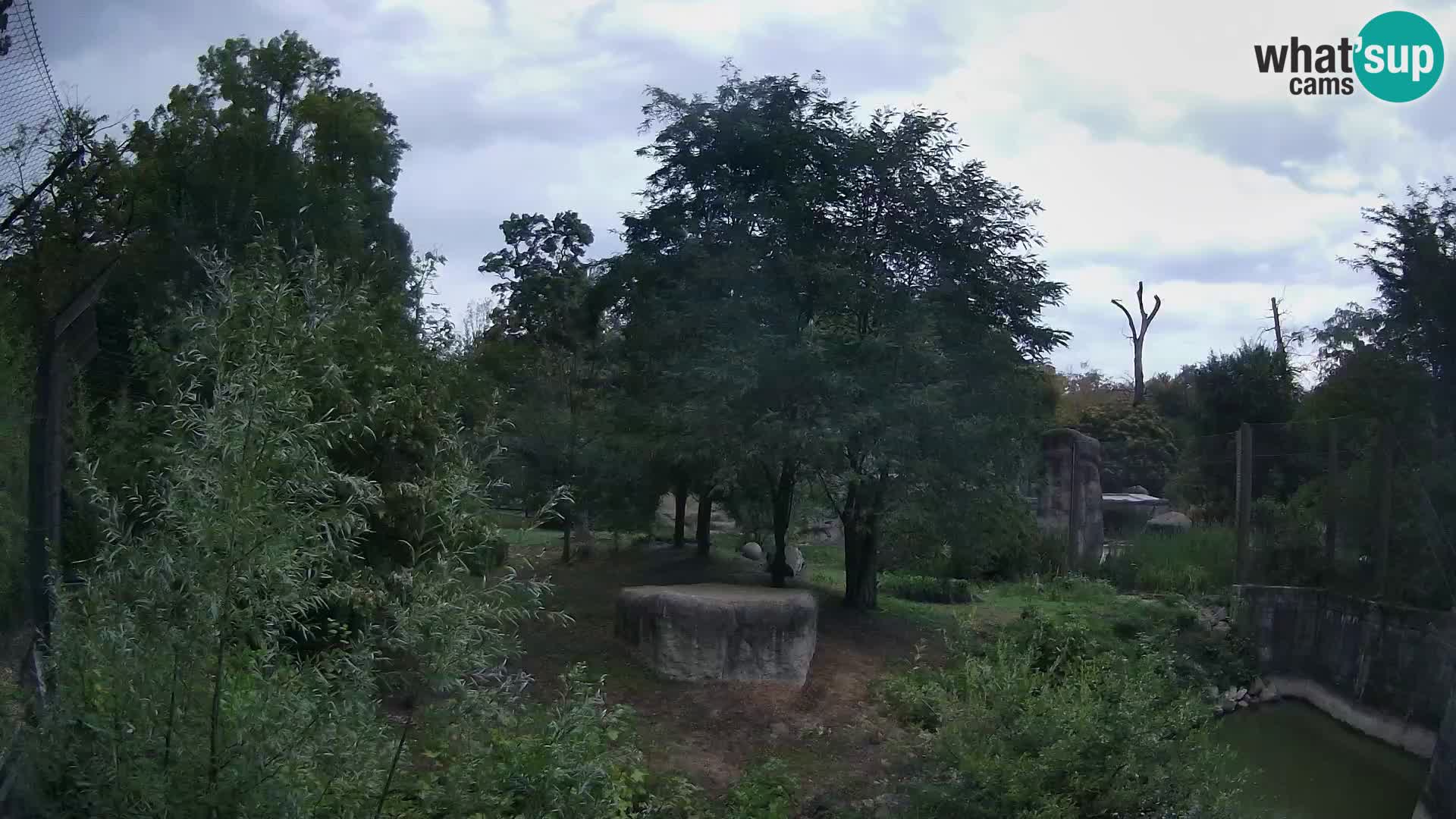 Zoo Zagreb – Löwen