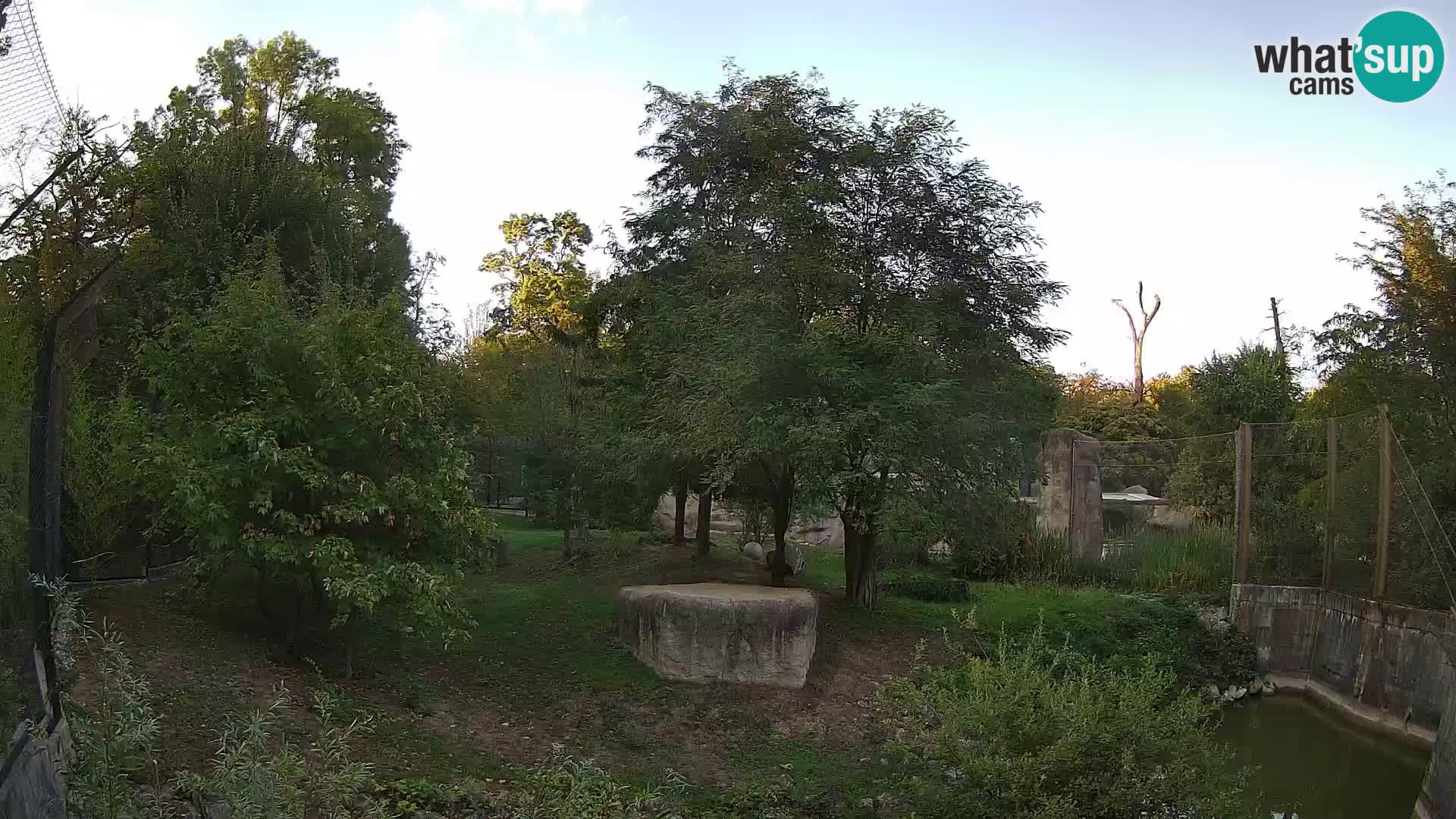 Zoo Zagreb – Löwen