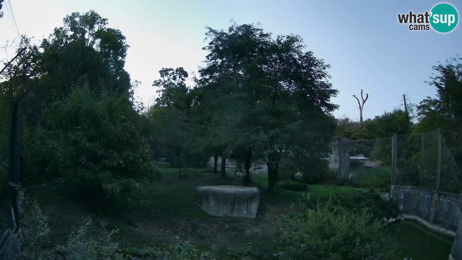 Zoo Zagreb – Löwen