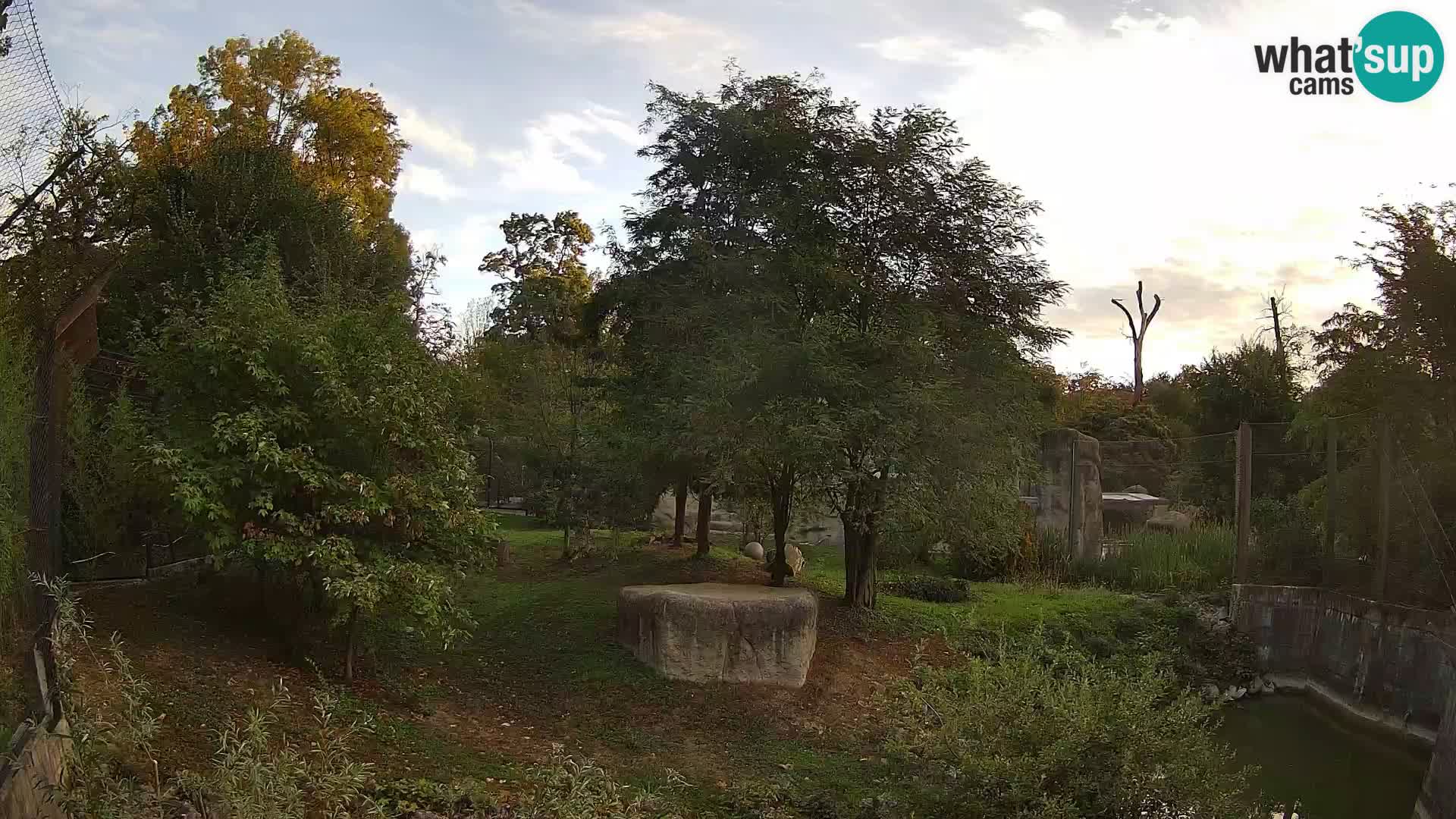 Zoo Zagreb – Leoni