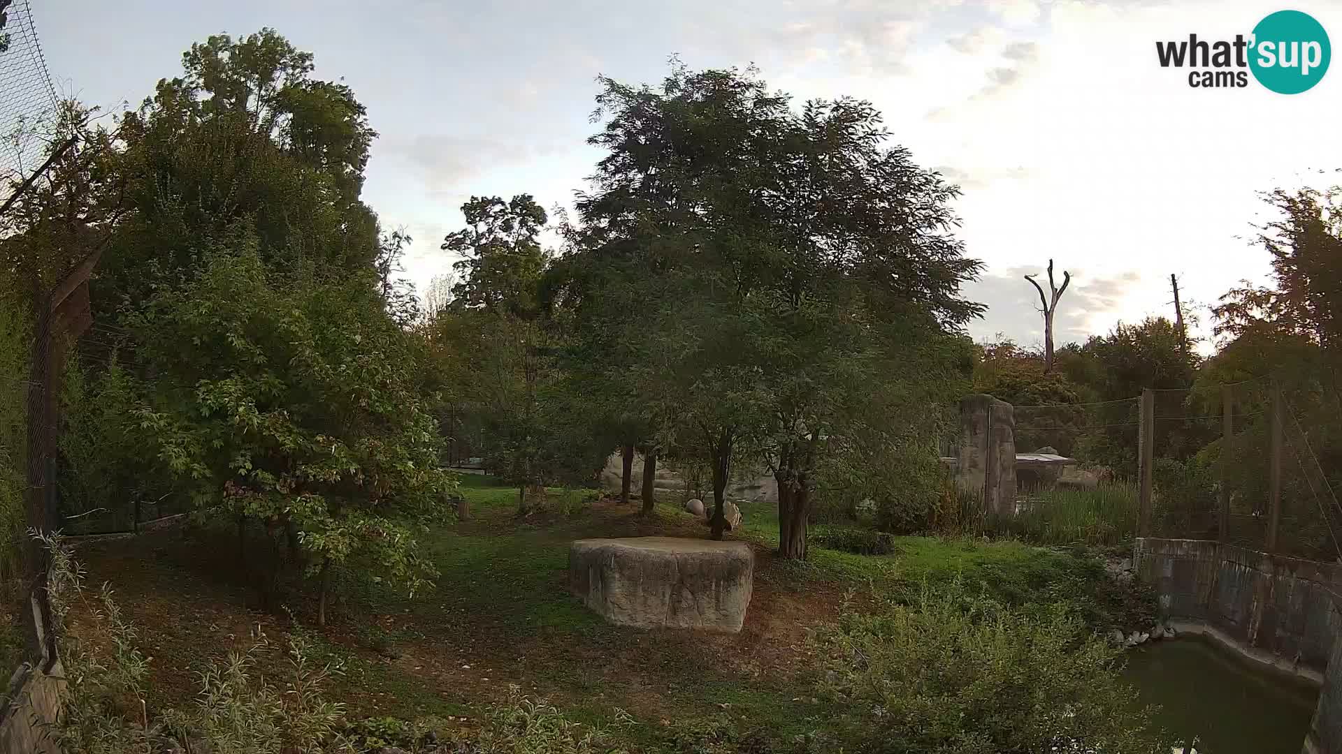 Zoo Zagreb – Löwen