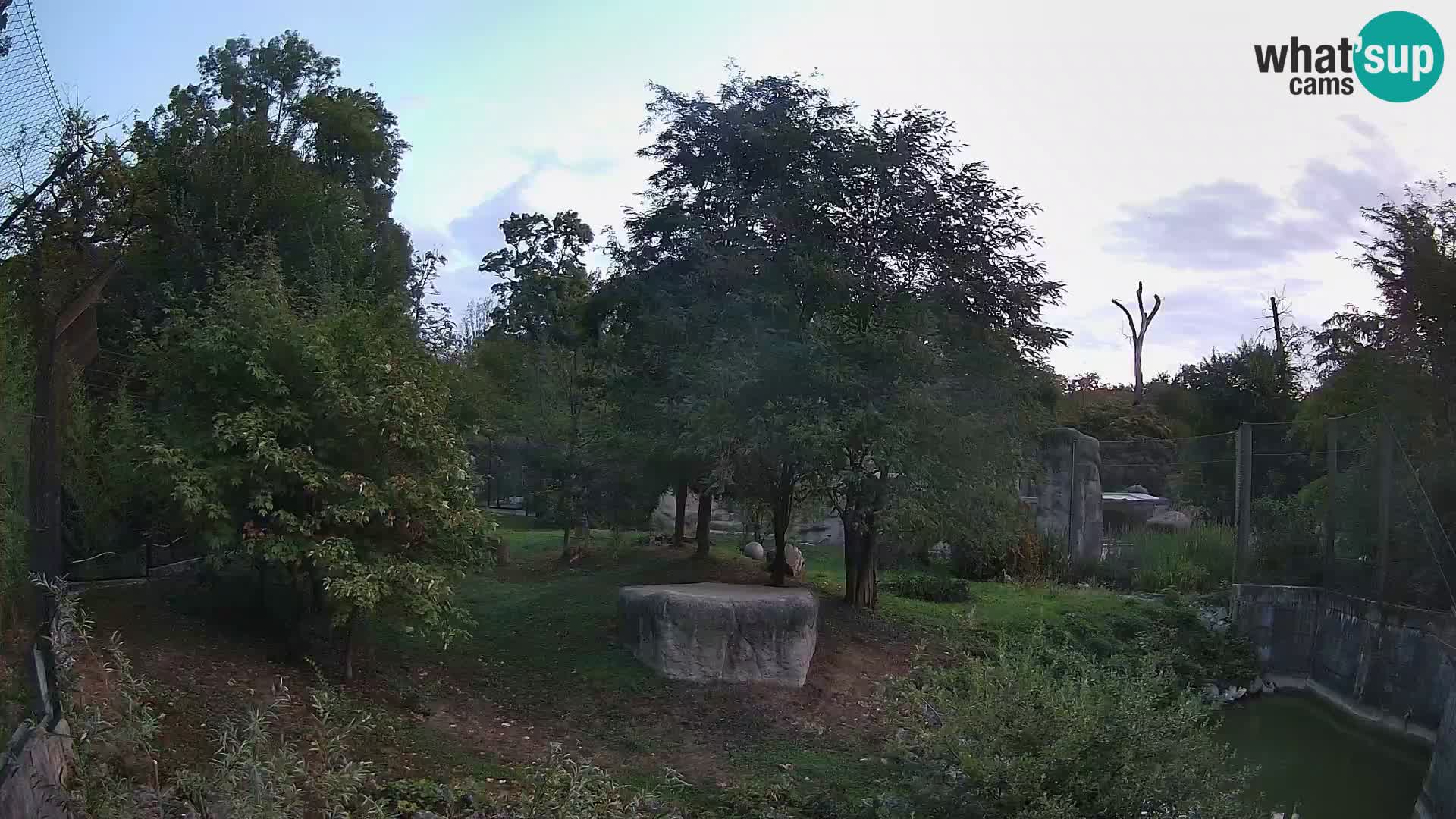 Zoo Zagreb – Leoni