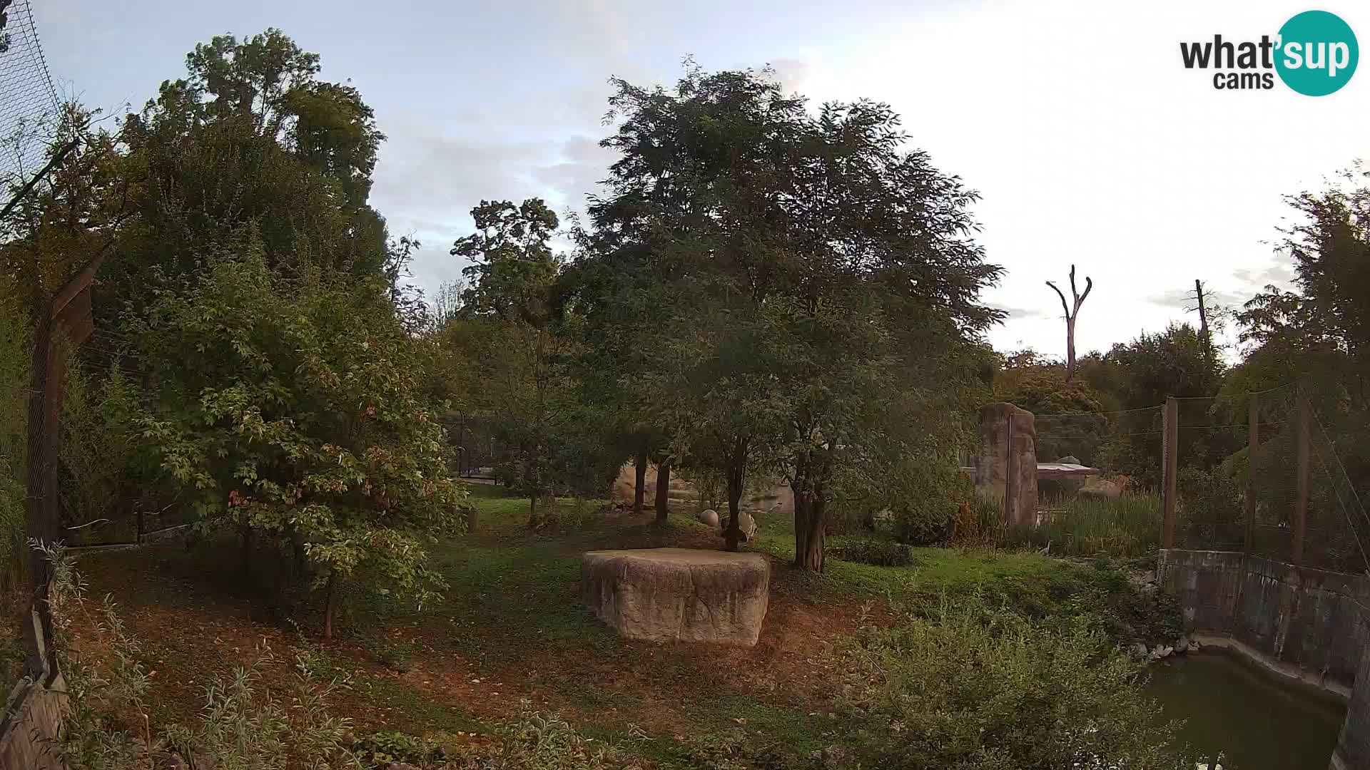 Zoo Zagreb – Leones