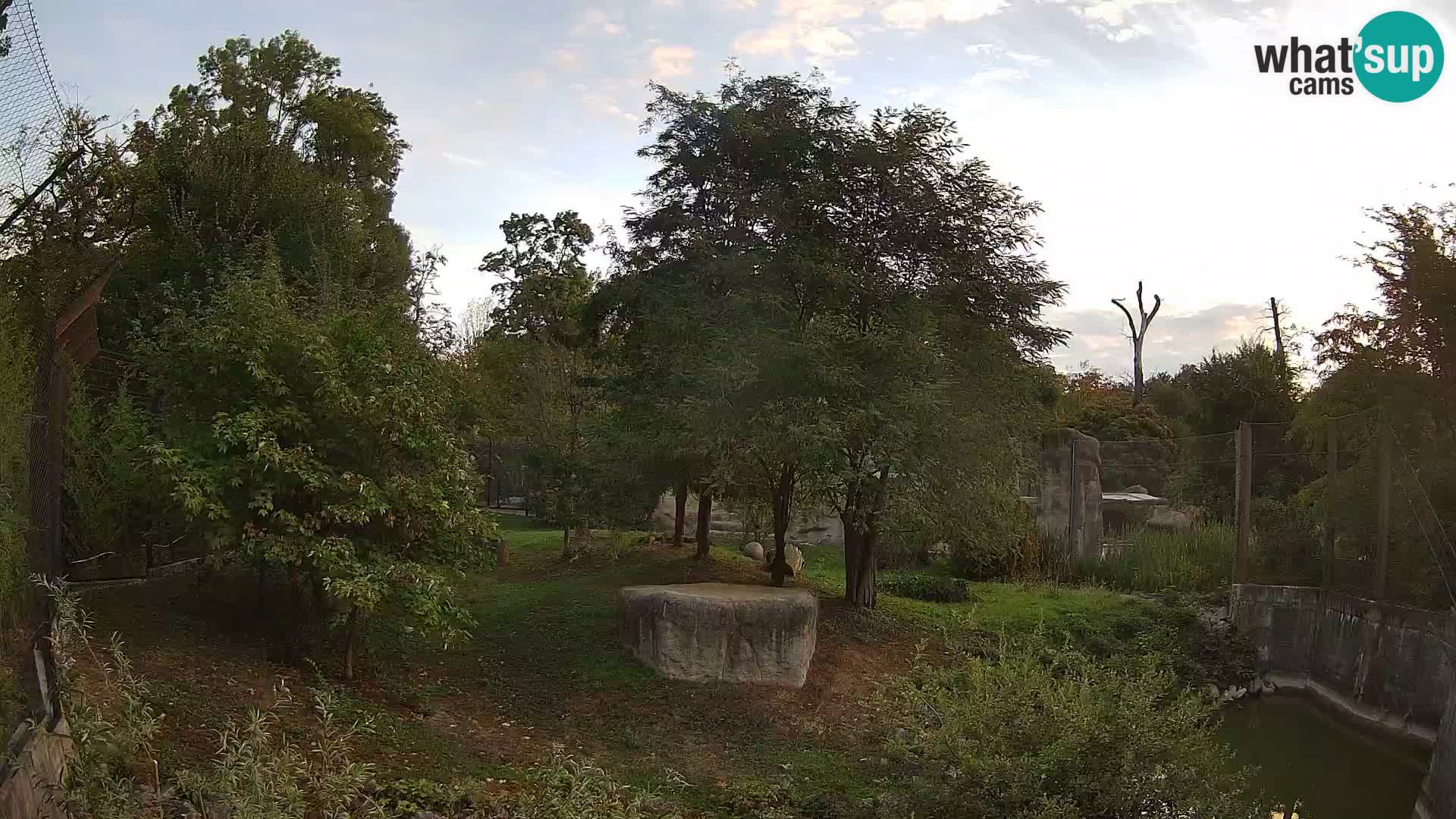 Zoo Zagreb – Löwen
