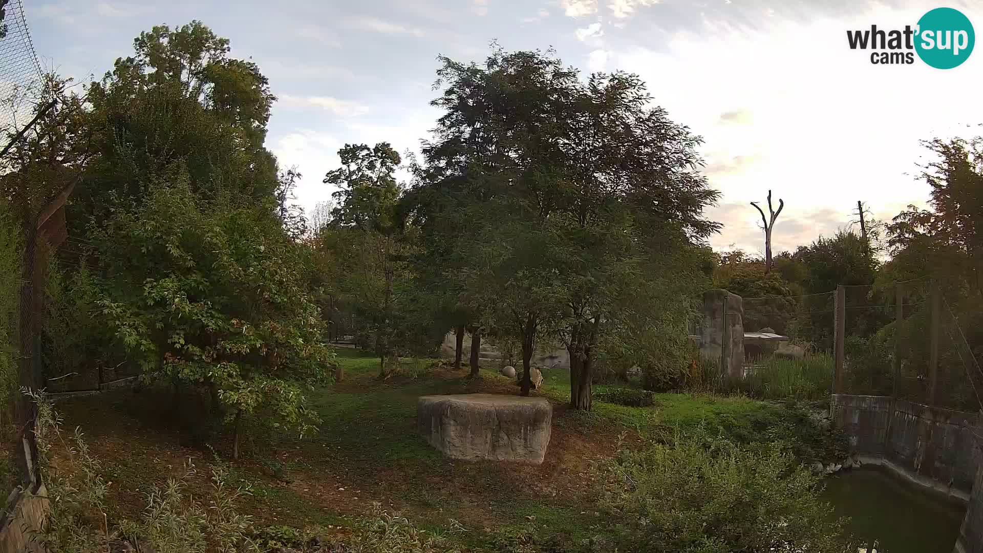 Zoo Zagreb – Leoni