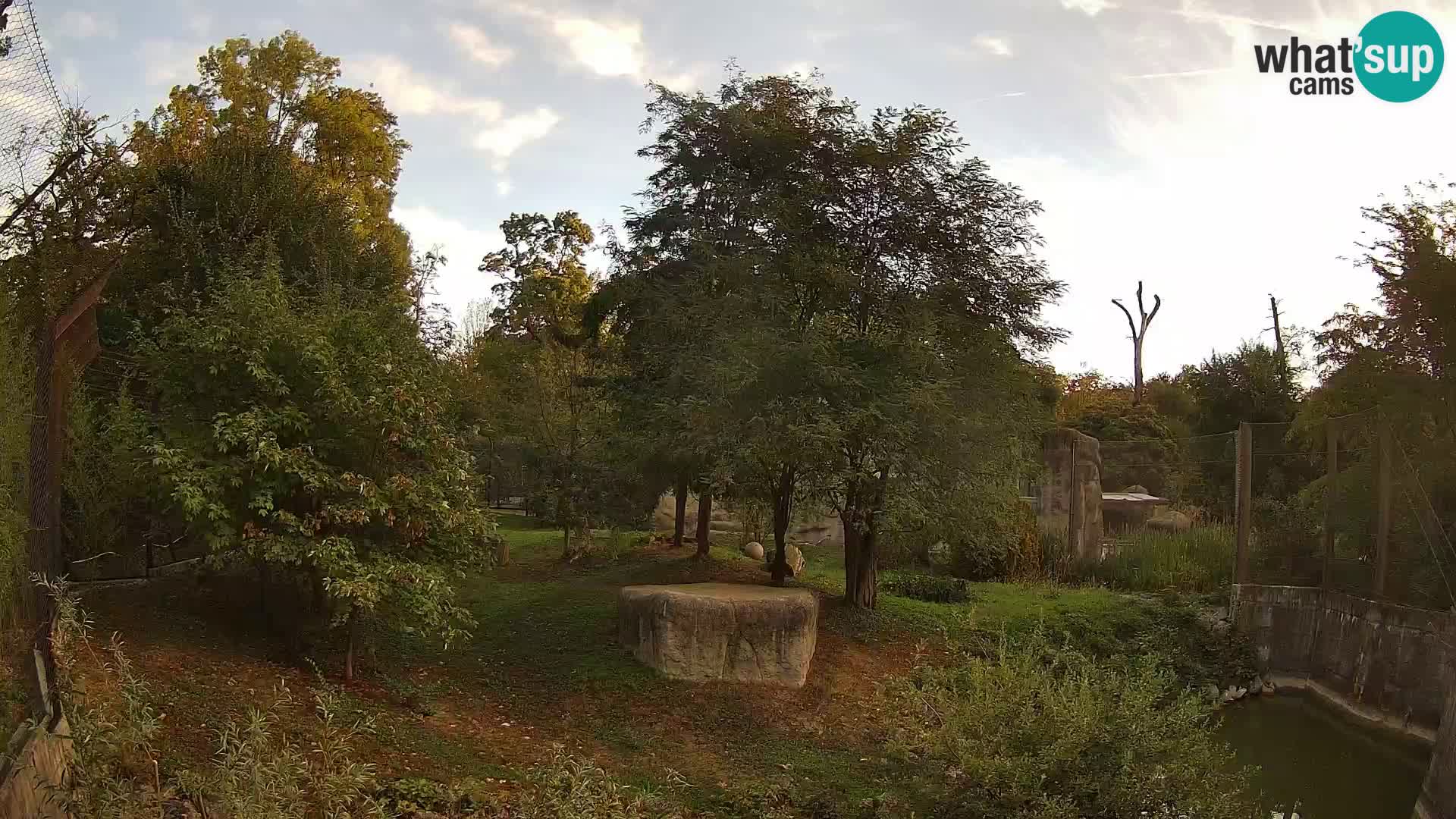 Zoo Zagreb – Leoni