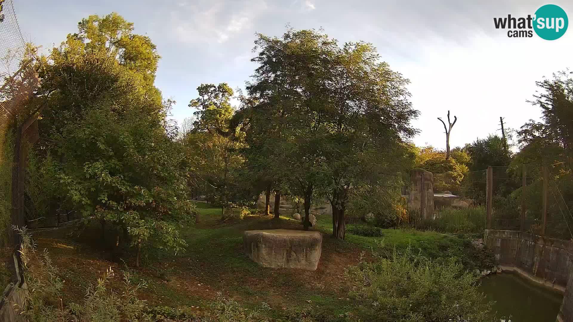 Zoo Zagreb – Leones