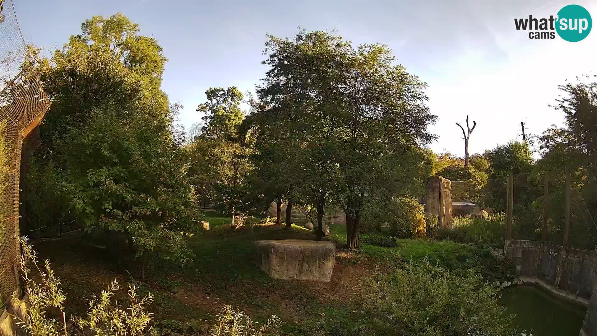 Spletna kamera Zoo Zagreb – Levi