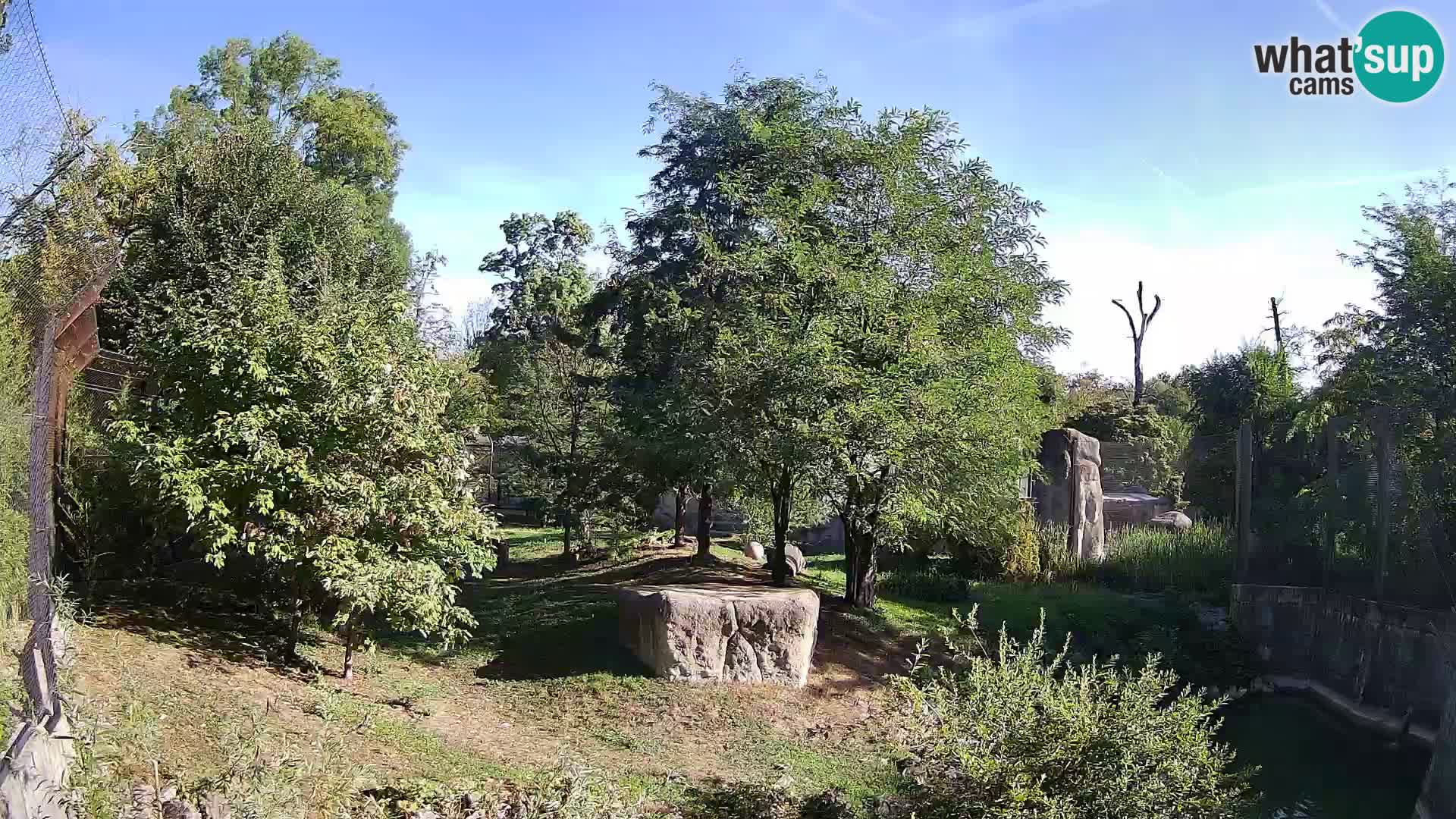 Zoo Zagreb – Leoni