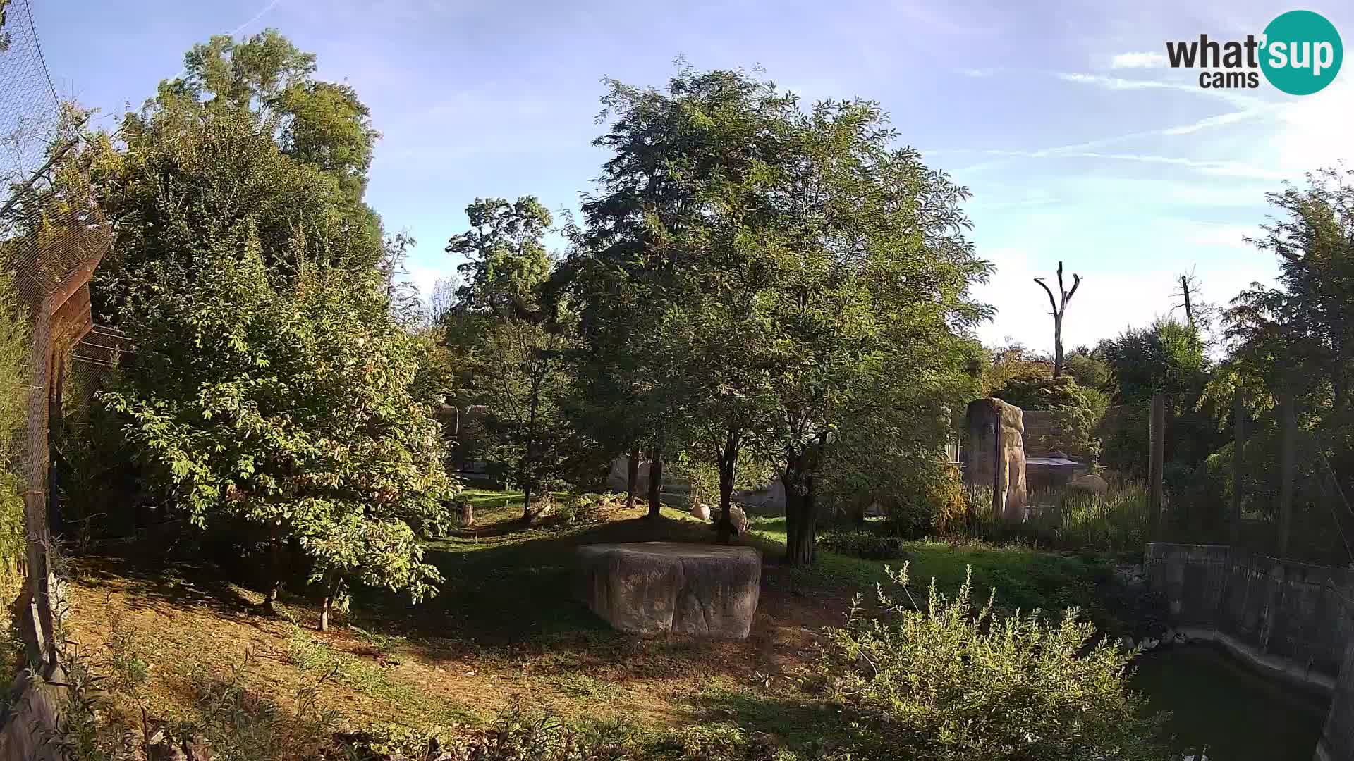 Zoo Zagreb – Lion