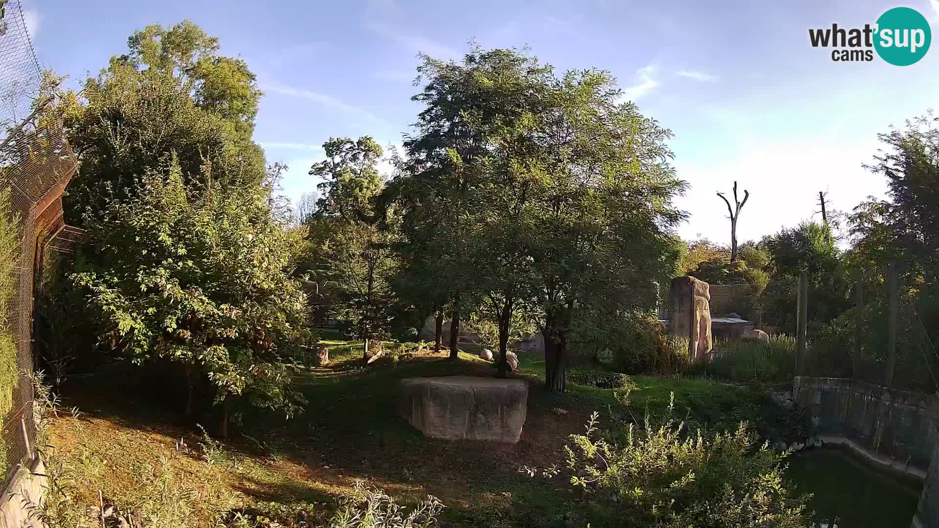 Zoo Zagreb – Lavovi