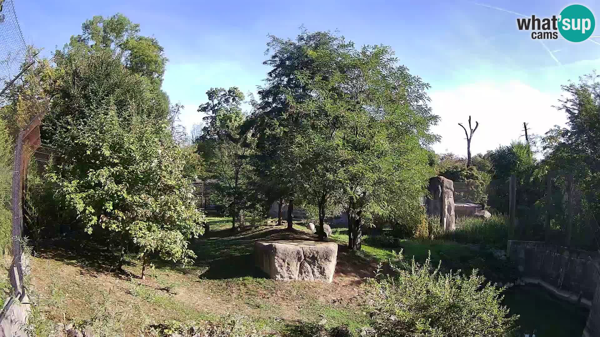Zoo Zagreb – Leoni