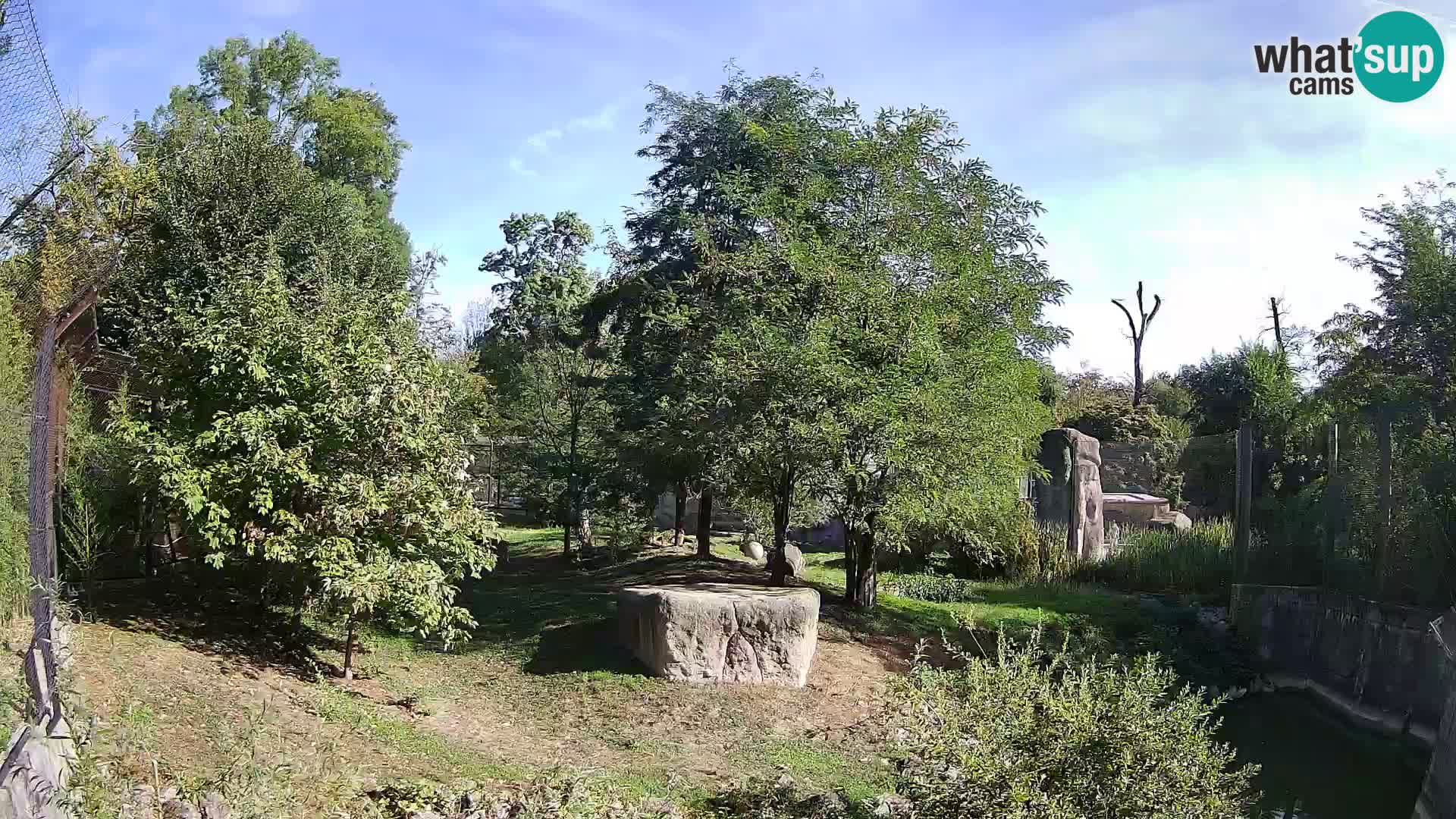 Zoo Zagreb – Leoni