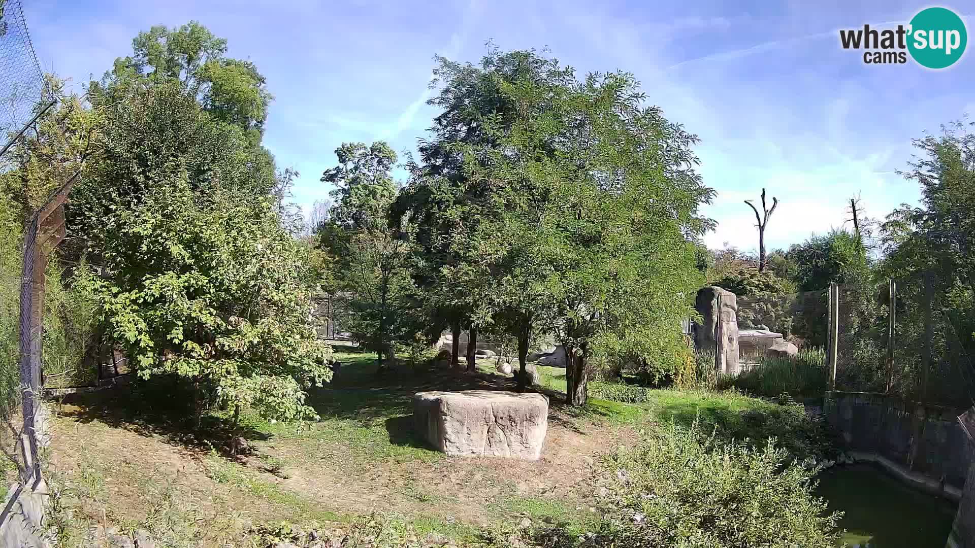 Zoo Zagreb – Leones