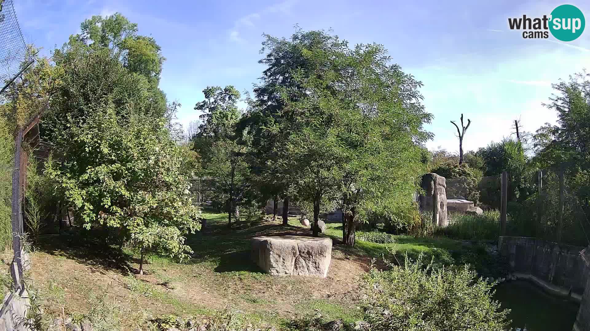 Zoo Zagreb – Leones