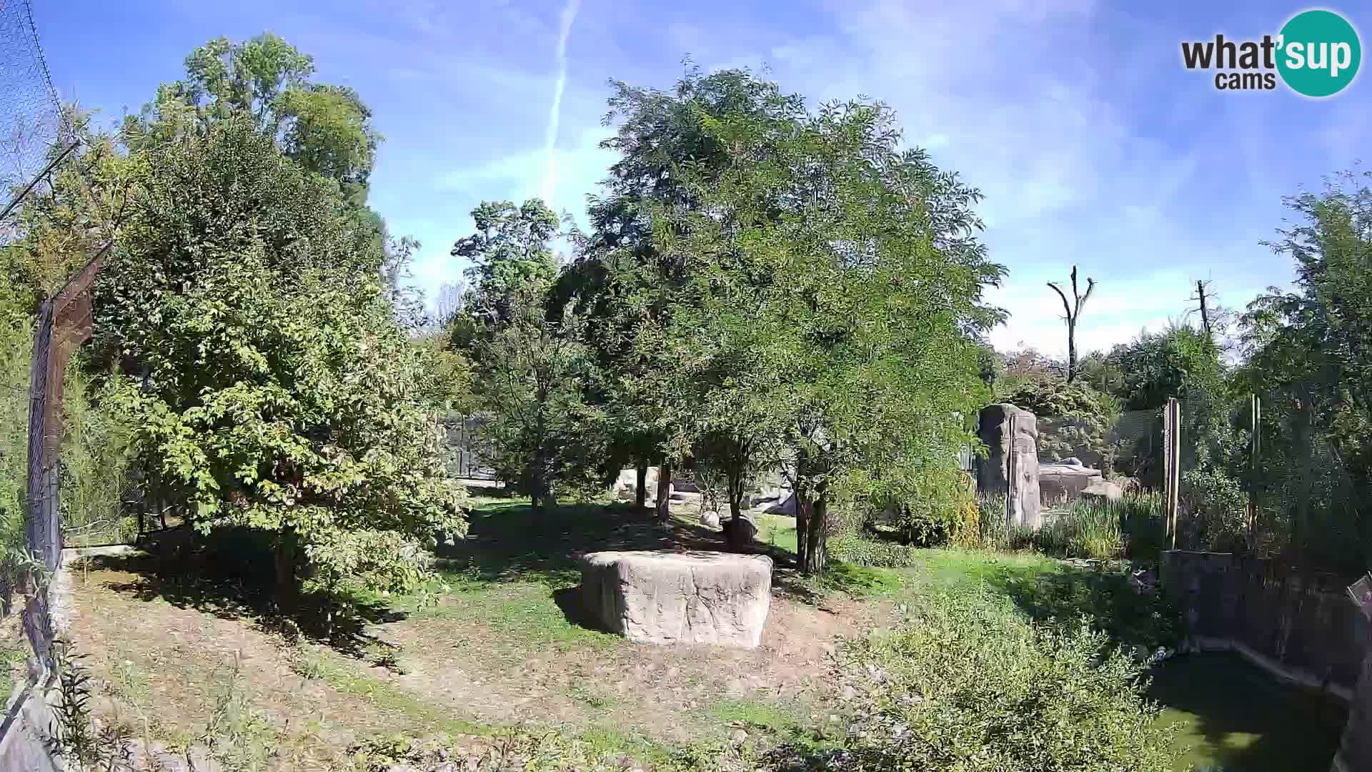 Zoo Zagreb – Leoni