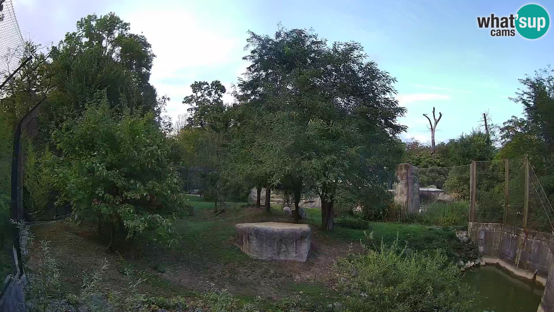 Zoo Zagreb – Löwen