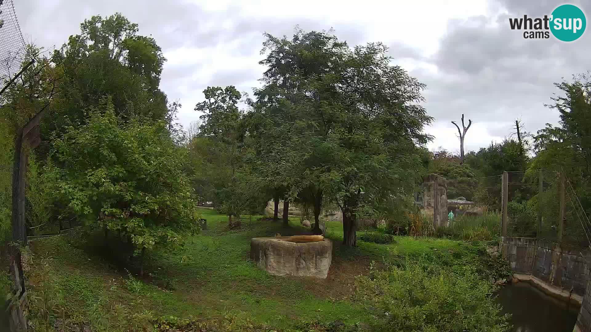 Zoo Zagreb – Löwen