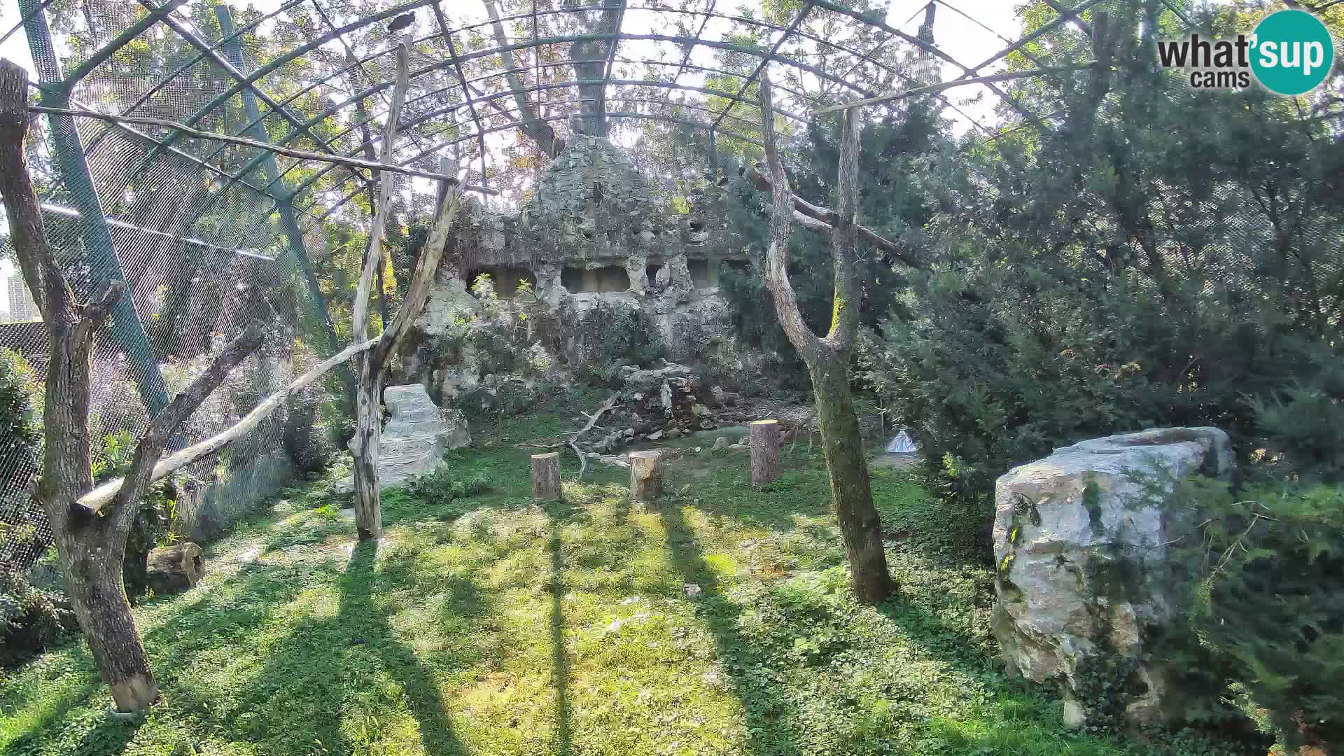 Gyps Webcam – Zagreb Zoo Live