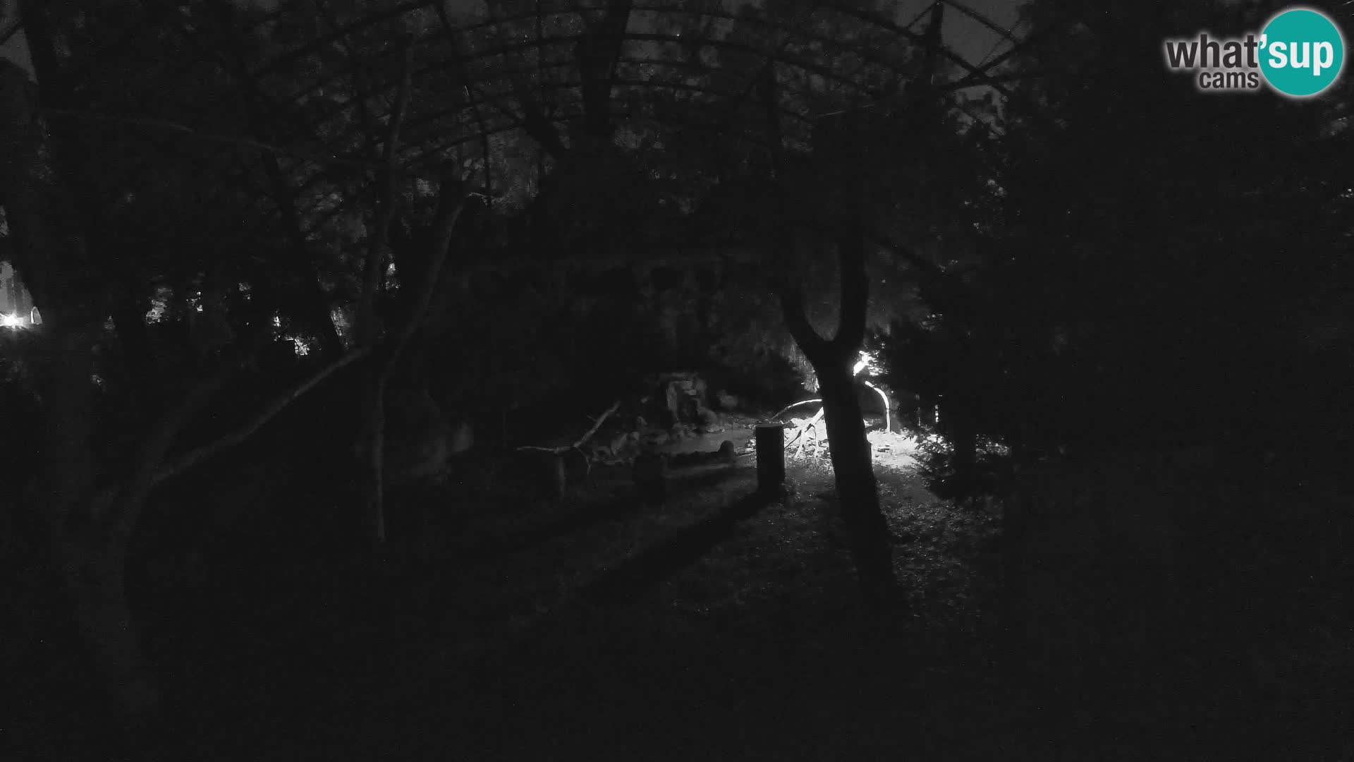 Gyps Webcam – Zagreb Zoo Live