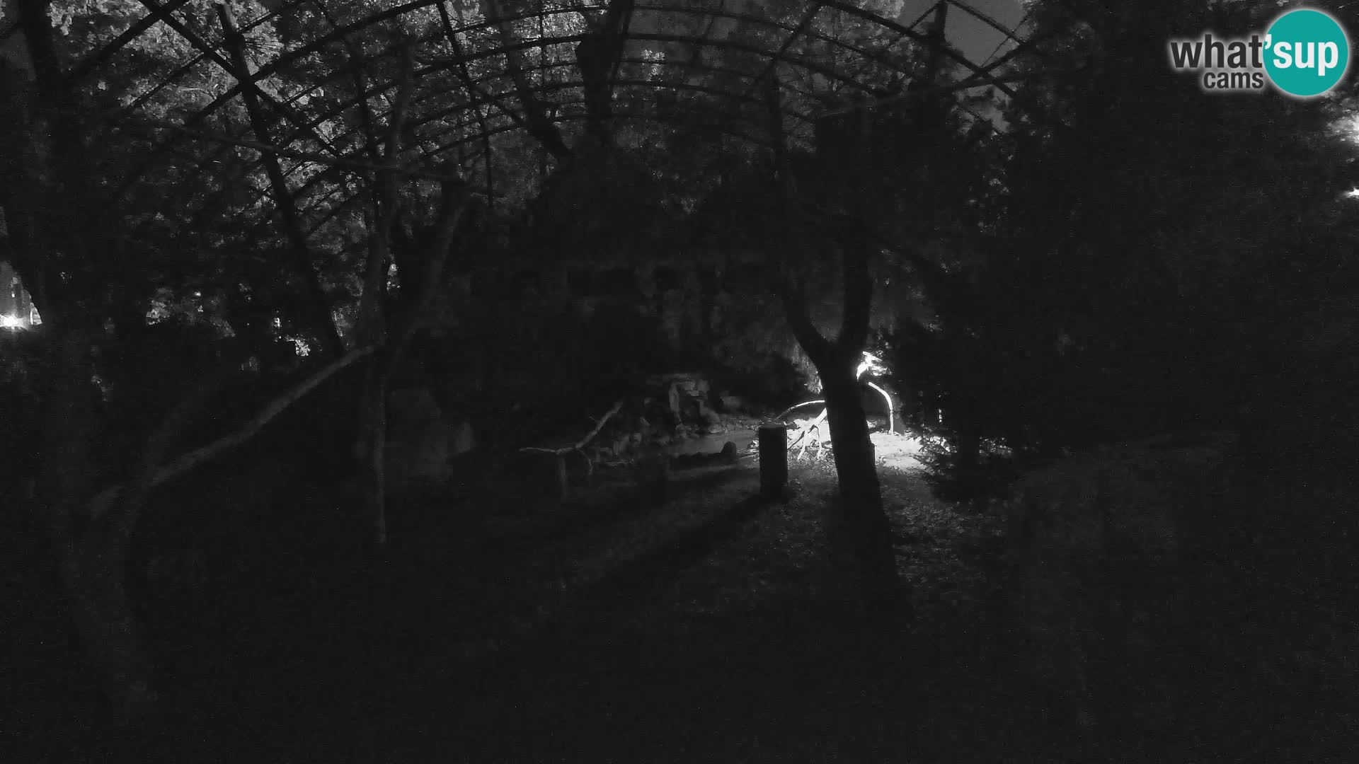 Webcam Vautour fauve – Zoo de Zagreb en direct