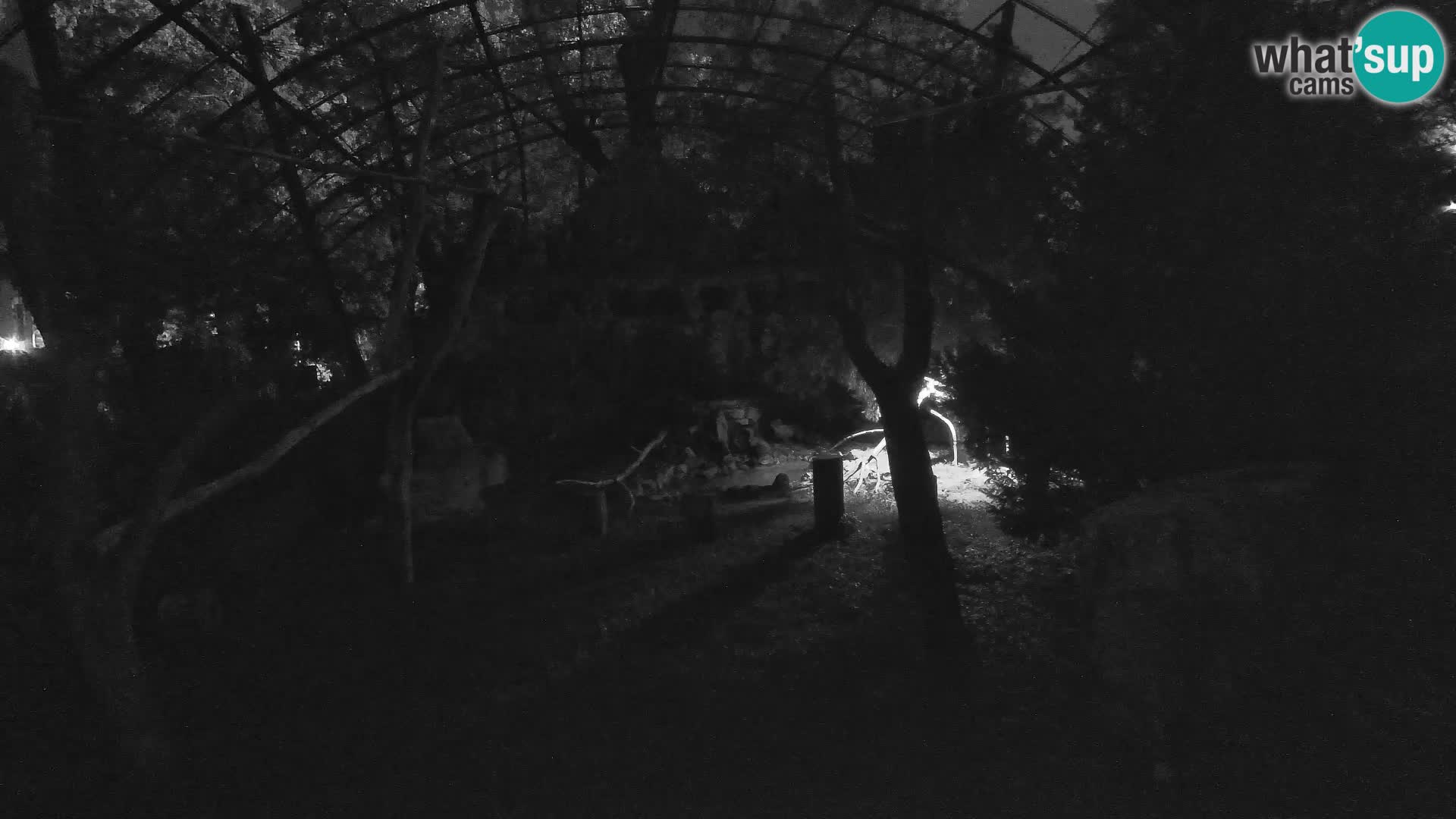 Gyps Webcam – Zagreb Zoo Live