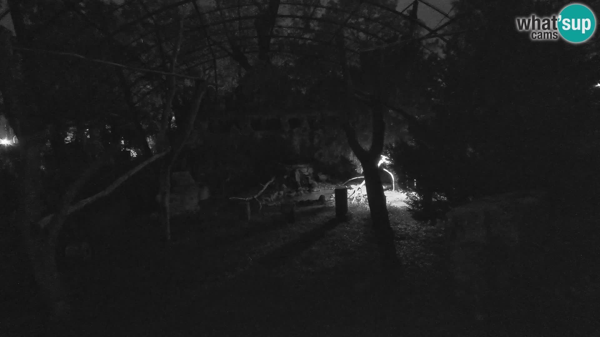 Gyps Webcam – Live aus dem Zoo Zagreb