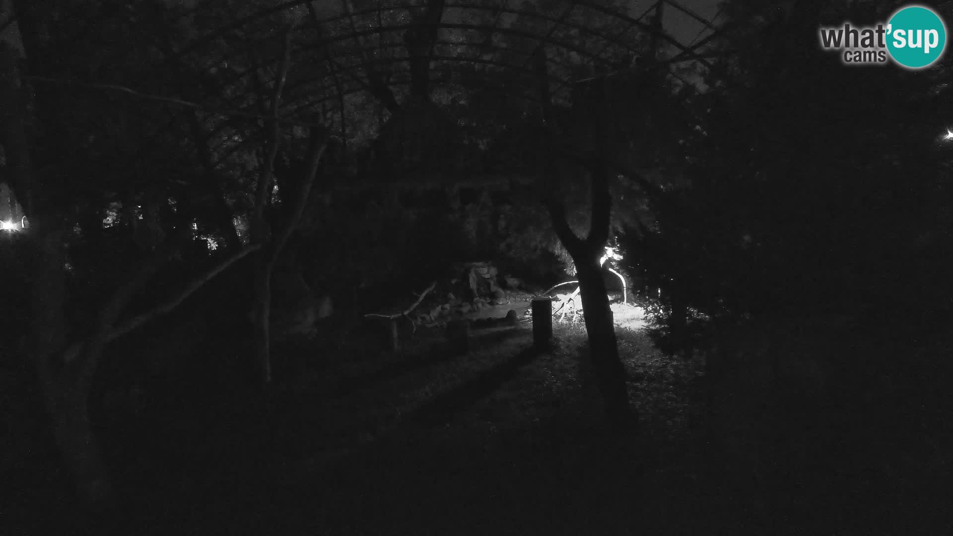 Gyps Webcam – Zagreb Zoo Live