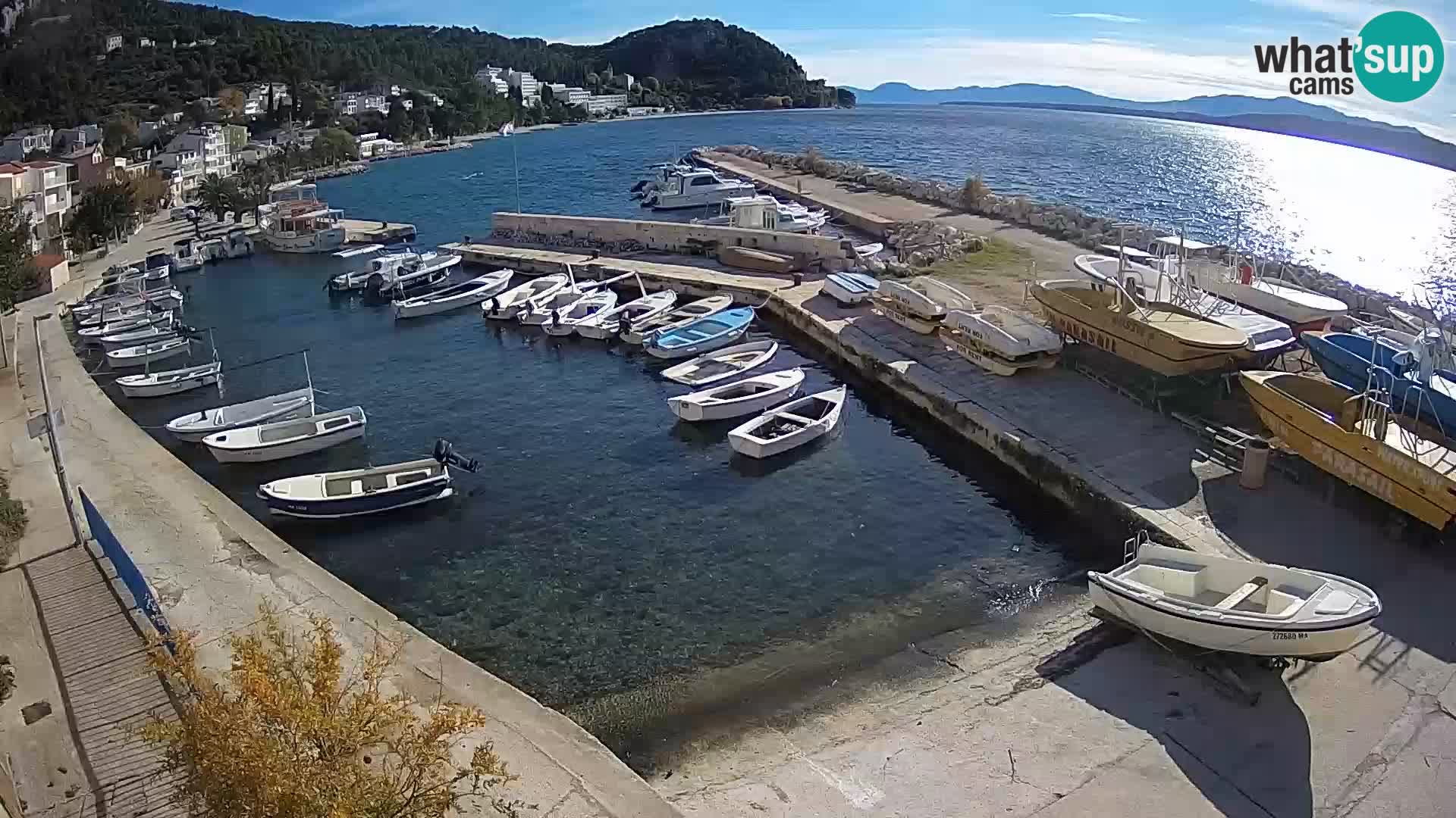 Playa Živogošće