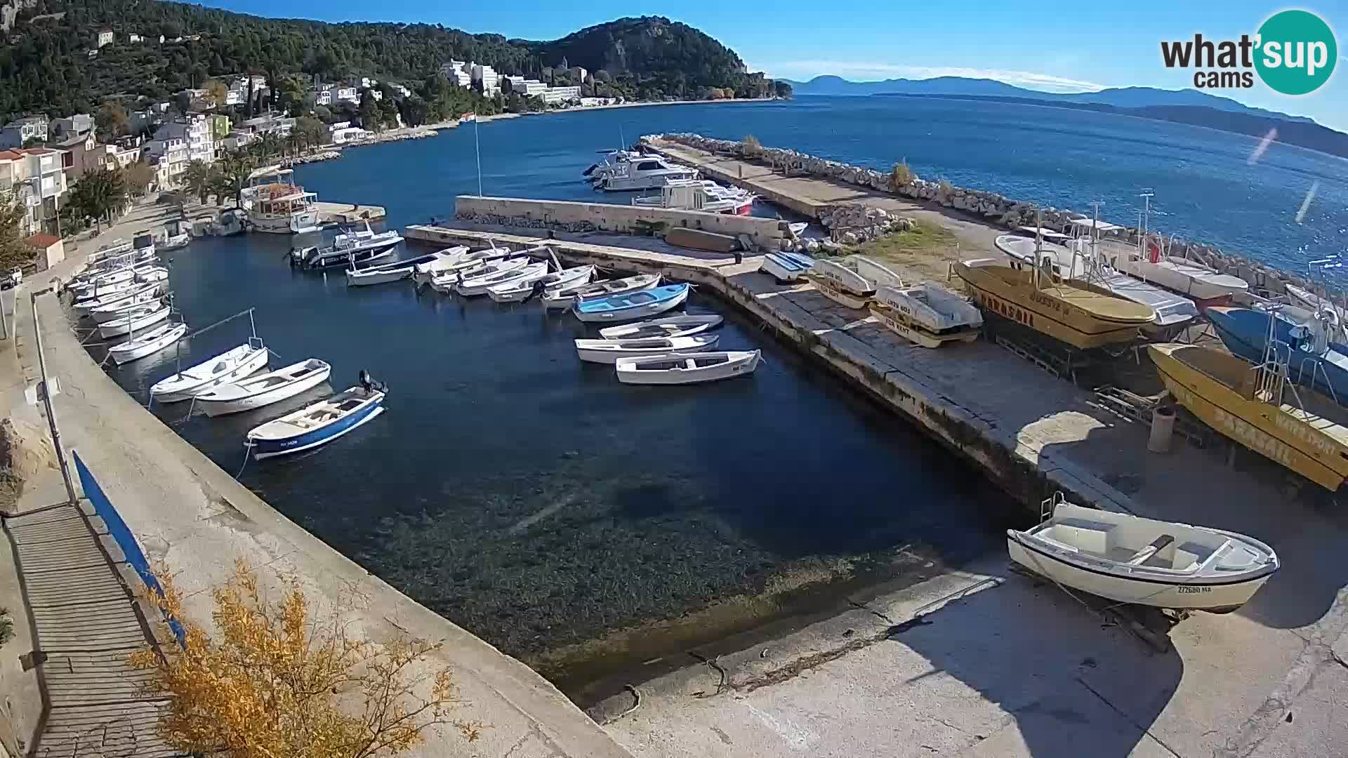 Playa Živogošće