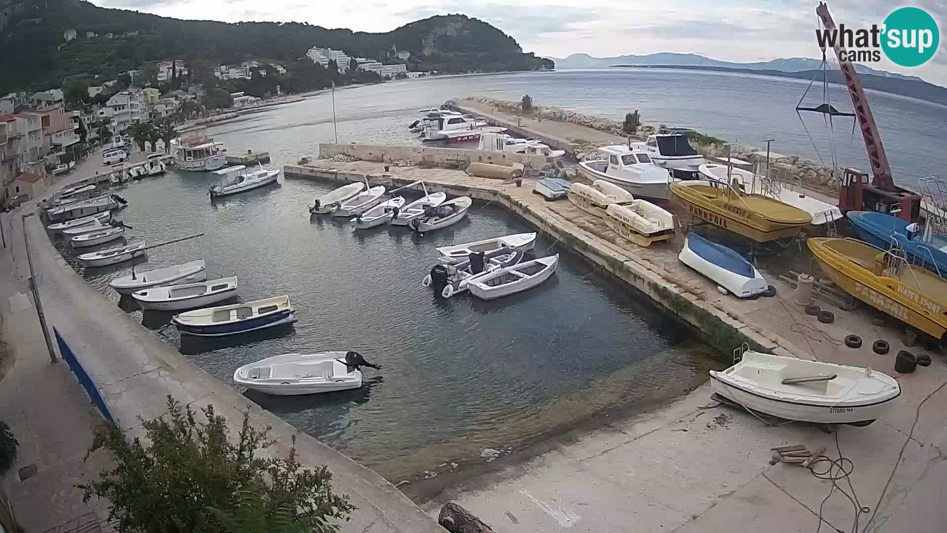 Spiaggia a Svogoschia