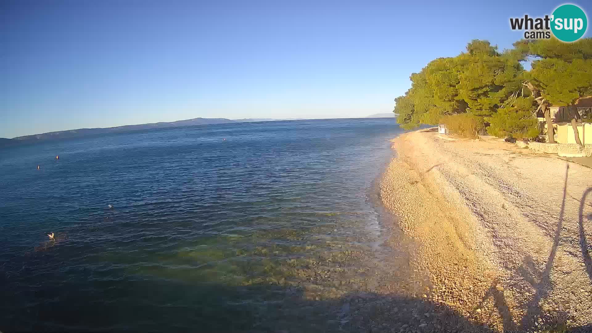 Živogošče webcam – Mala Duba