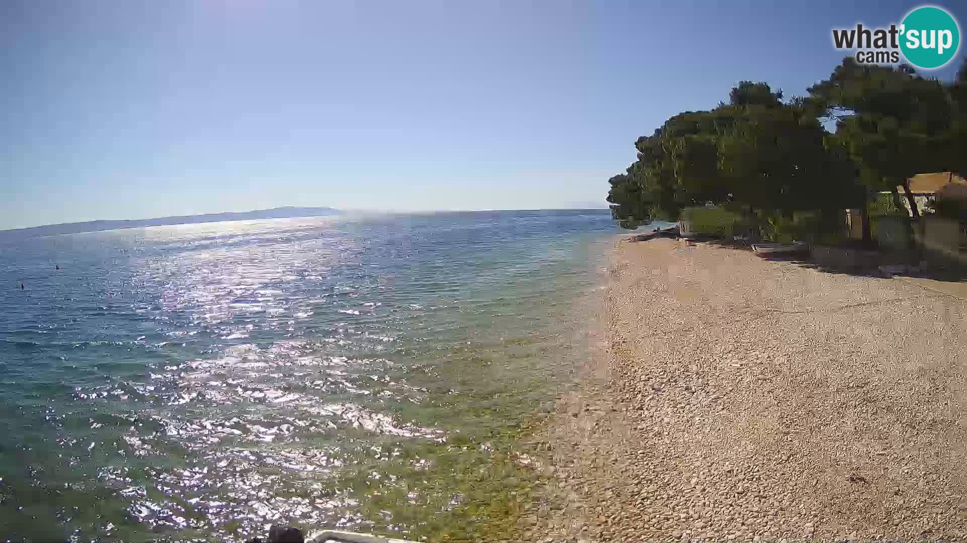 Camera en Vivo Živogošče – Mala Duba