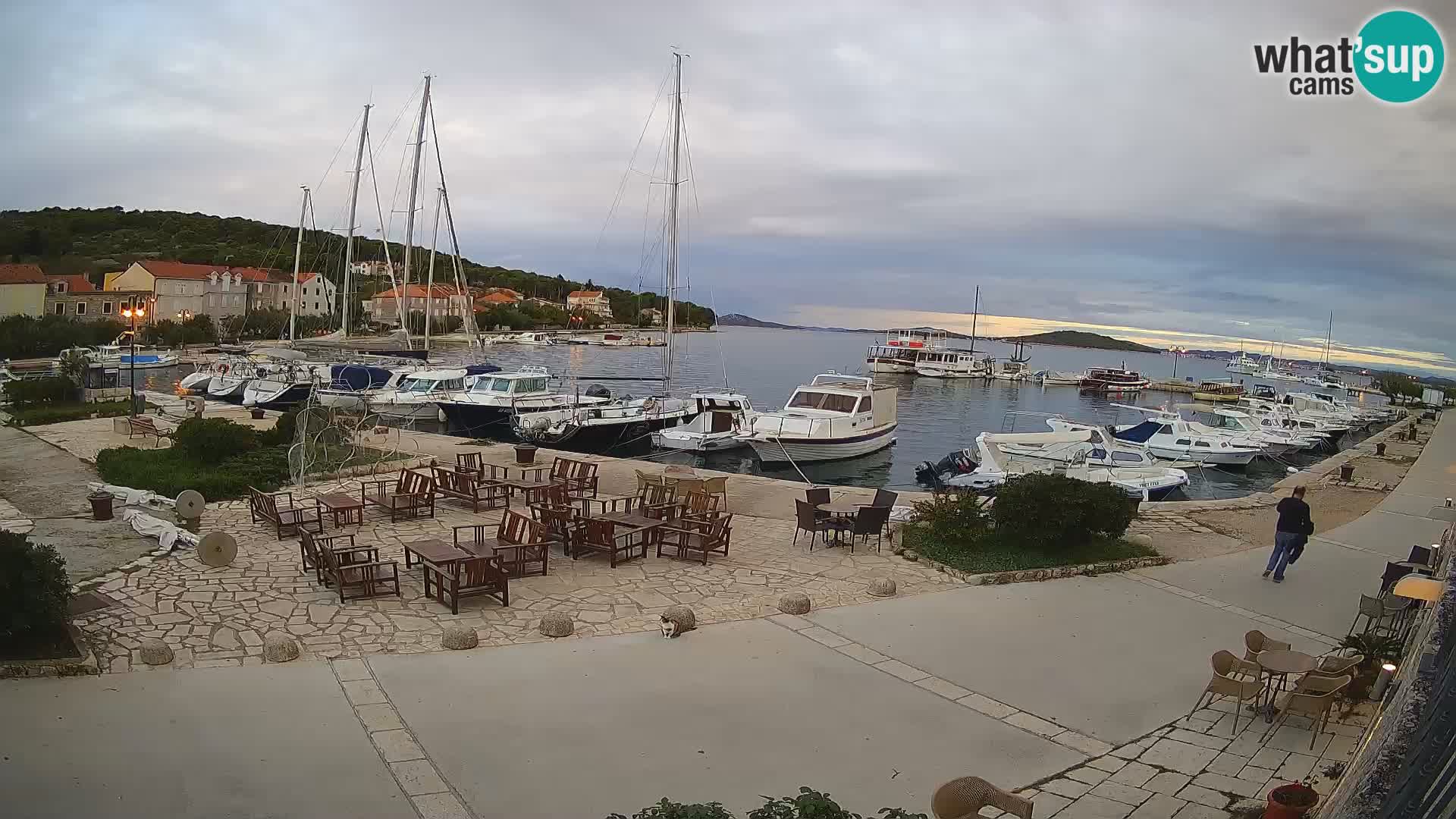 Otok Zlarin